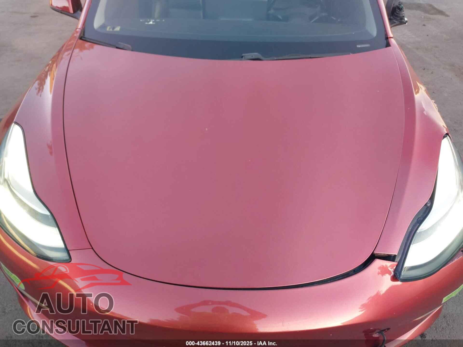 TESLA MODEL 3 2019 - 5YJ3E1EB6KF387284