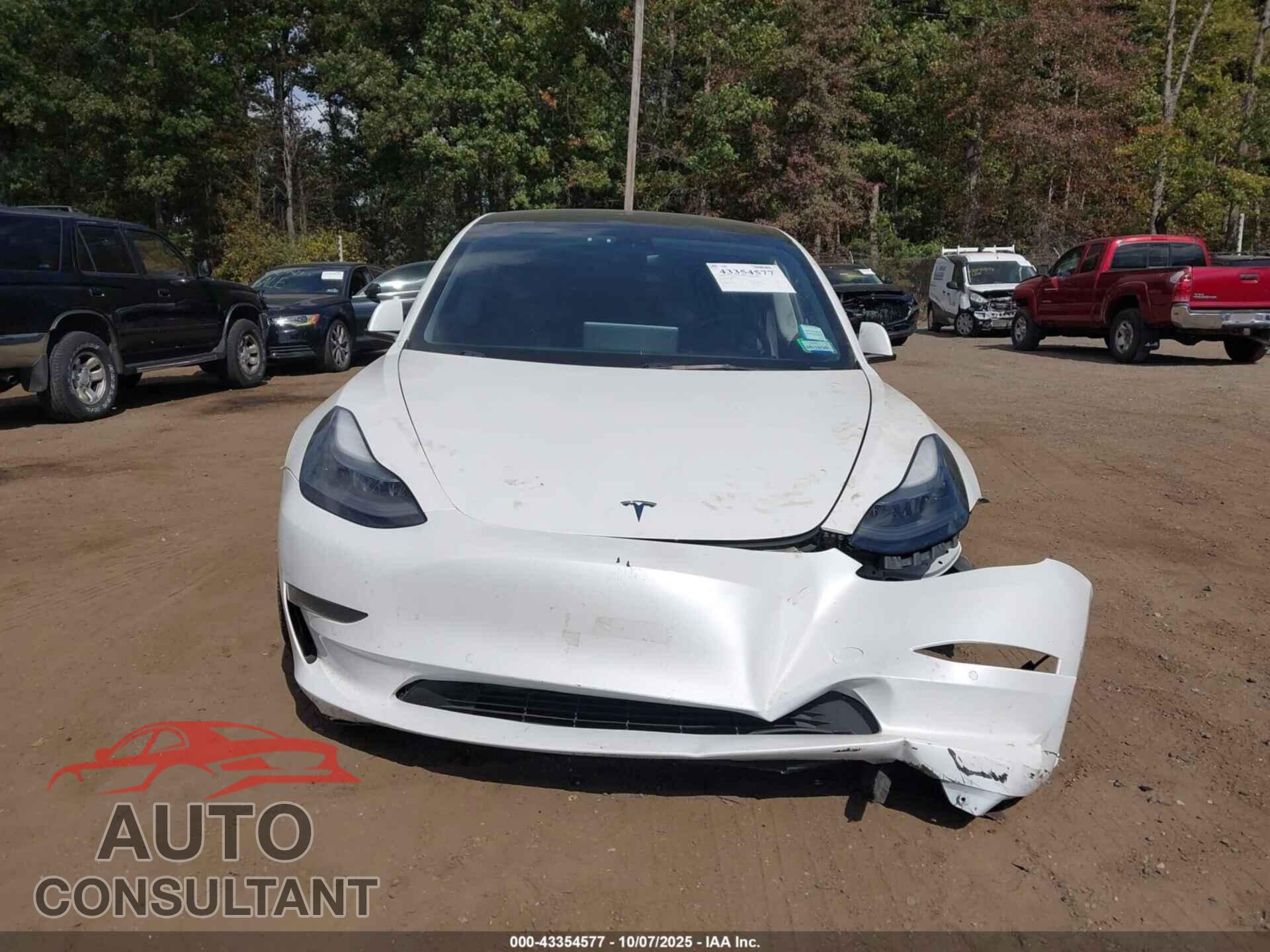 TESLA MODEL 3 2021 - 5YJ3E1EA8MF093976