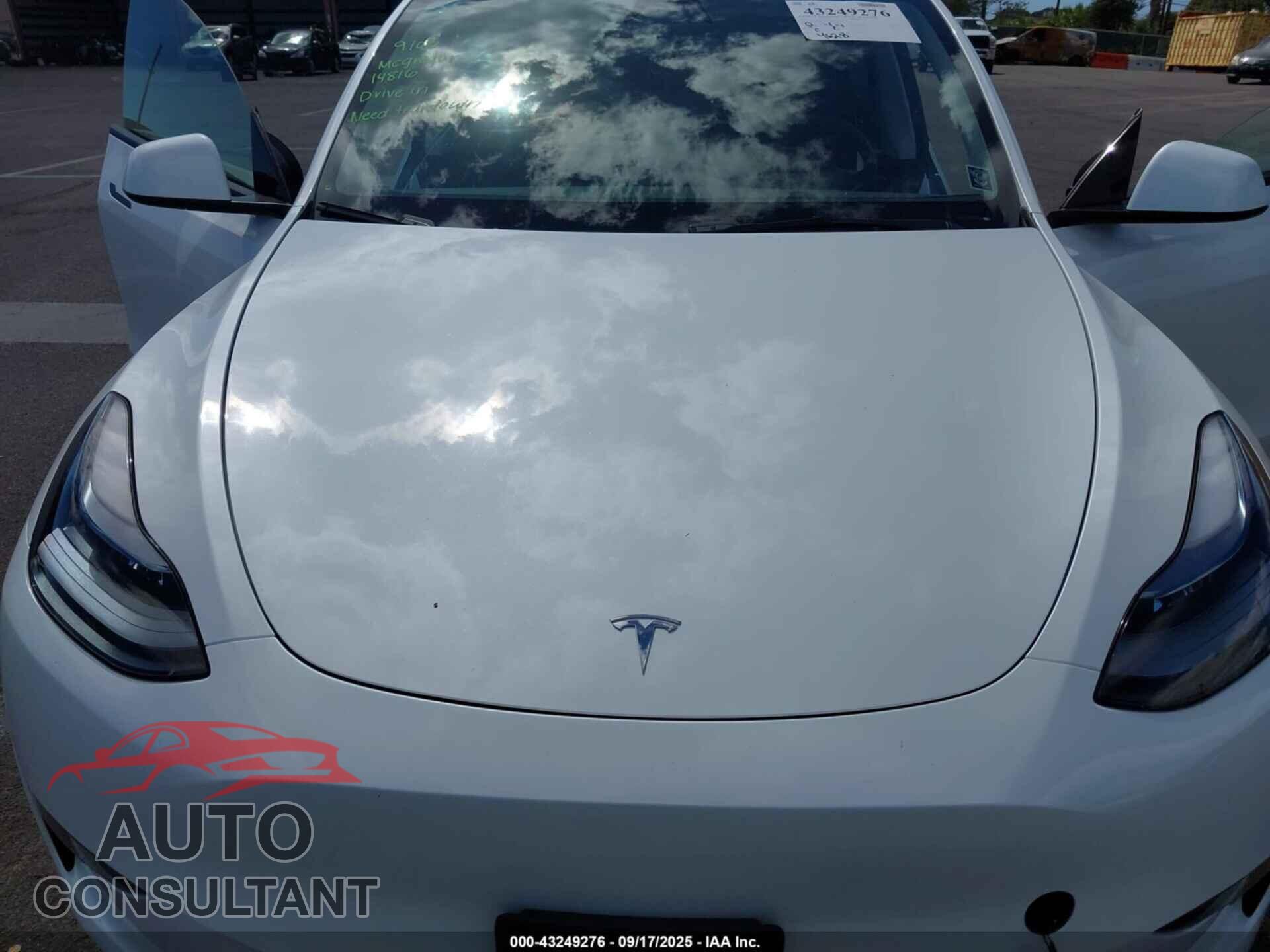 TESLA MODEL Y 2024 - 7SAYGDED2RF157788