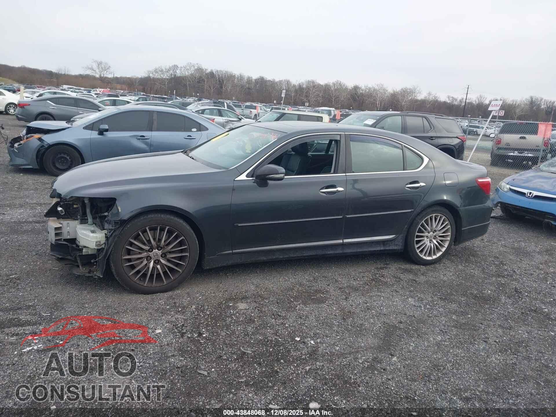 LEXUS LS 460 2011 - JTHBL5EF8B5102483