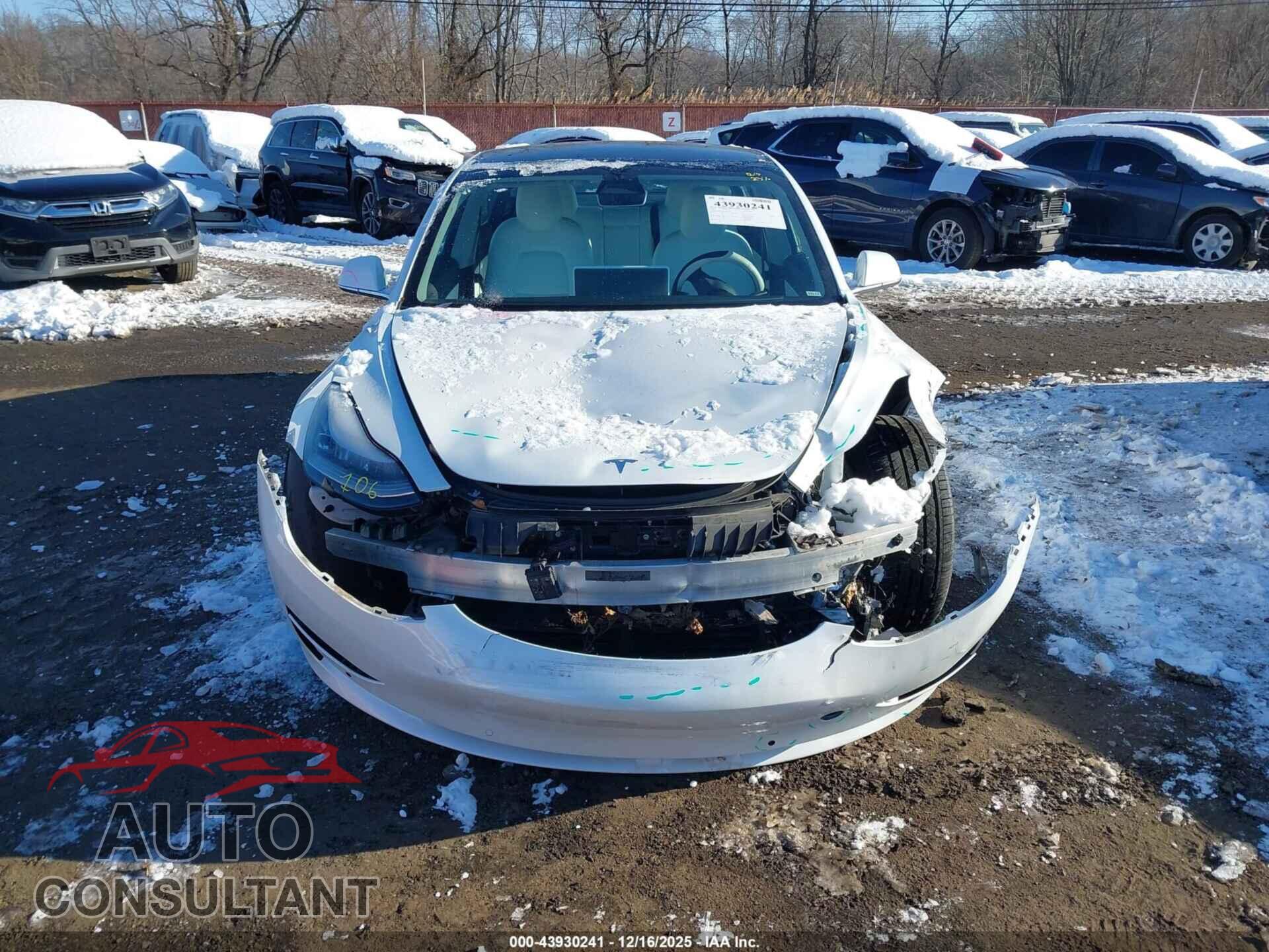 TESLA MODEL 3 2019 - 5YJ3E1EA5KF509267