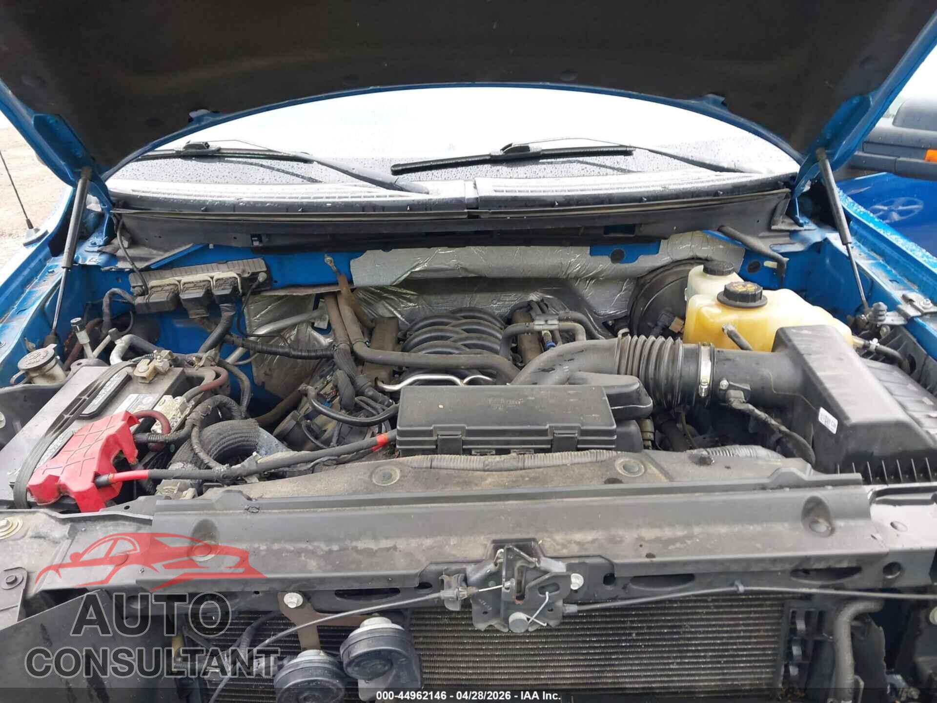 FORD F-150 2013 - 1FTFX1CF2DFD61695