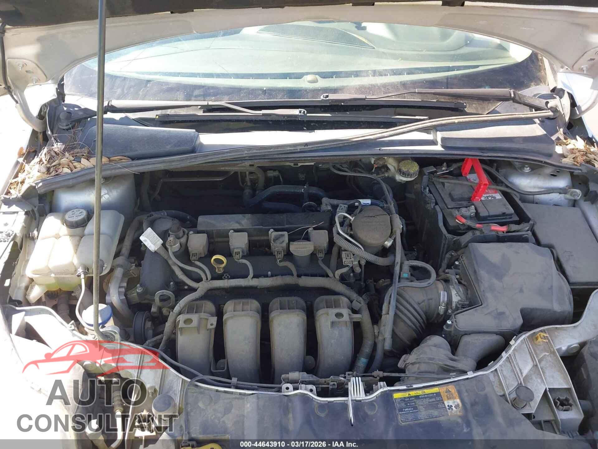 FORD FOCUS 2012 - 1FAHP3H23CL251142