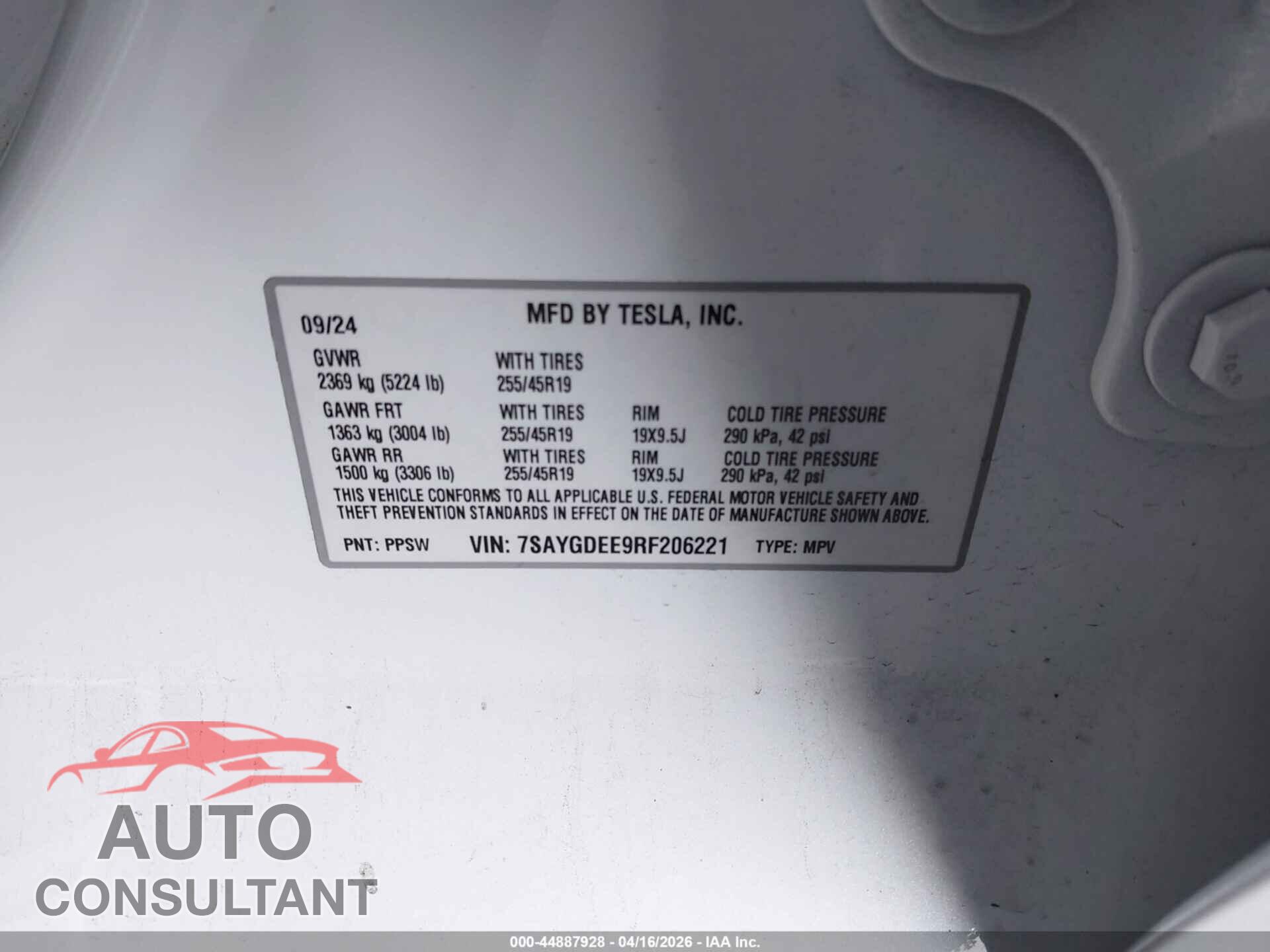 TESLA MODEL Y 2024 - 7SAYGDEE9RF206221