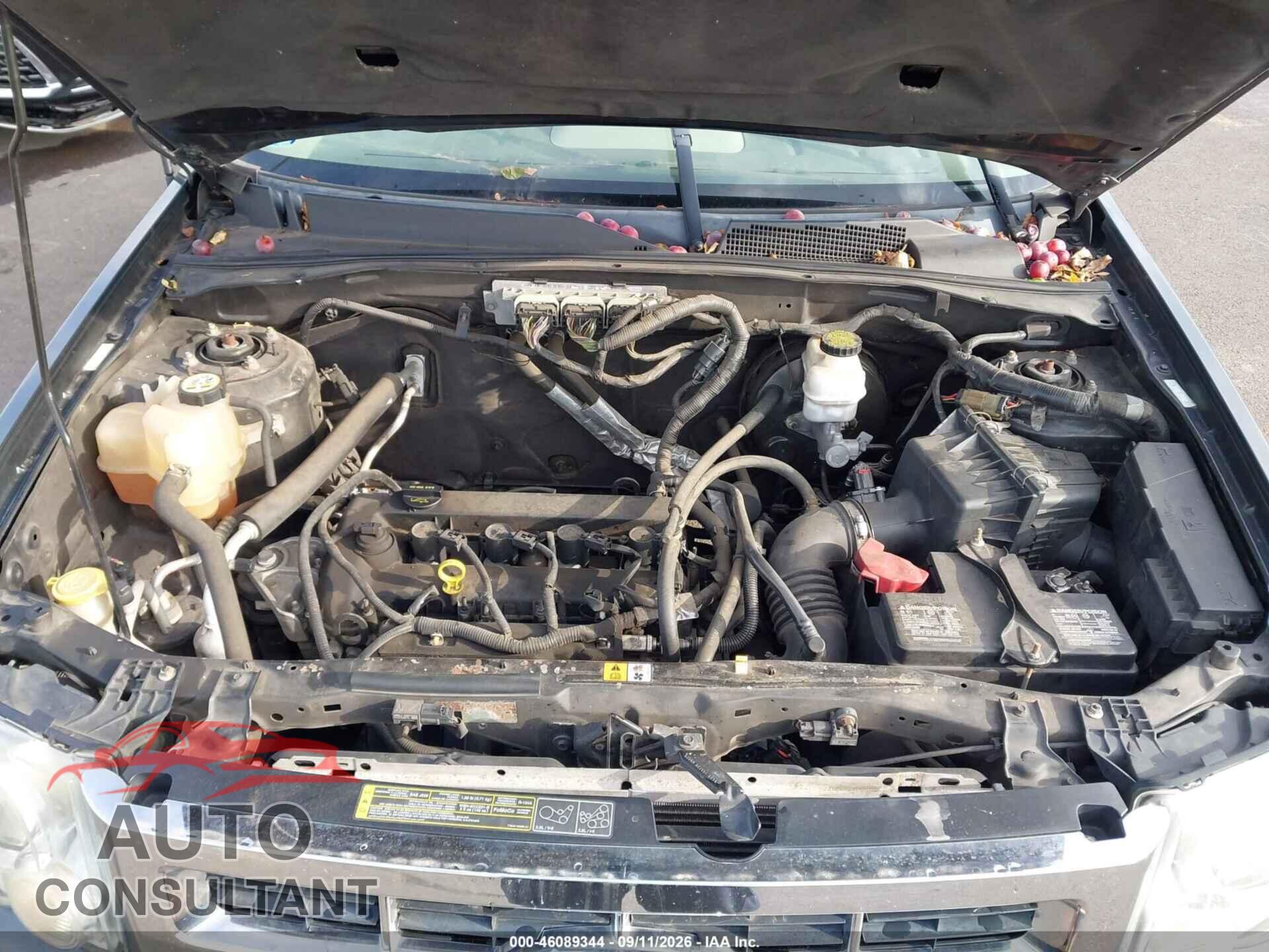 FORD ESCAPE 2009 - 1FMCU03749KB28362