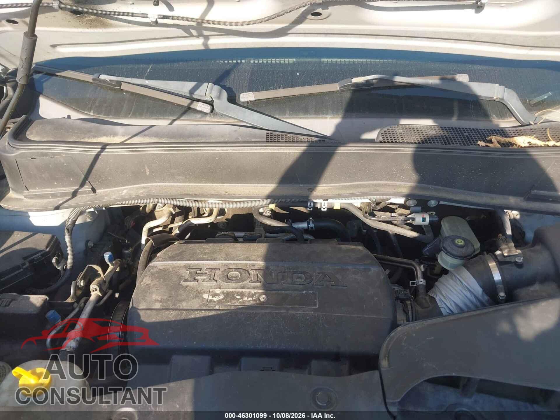 HONDA PILOT 2009 - 5FNYF38579B015922
