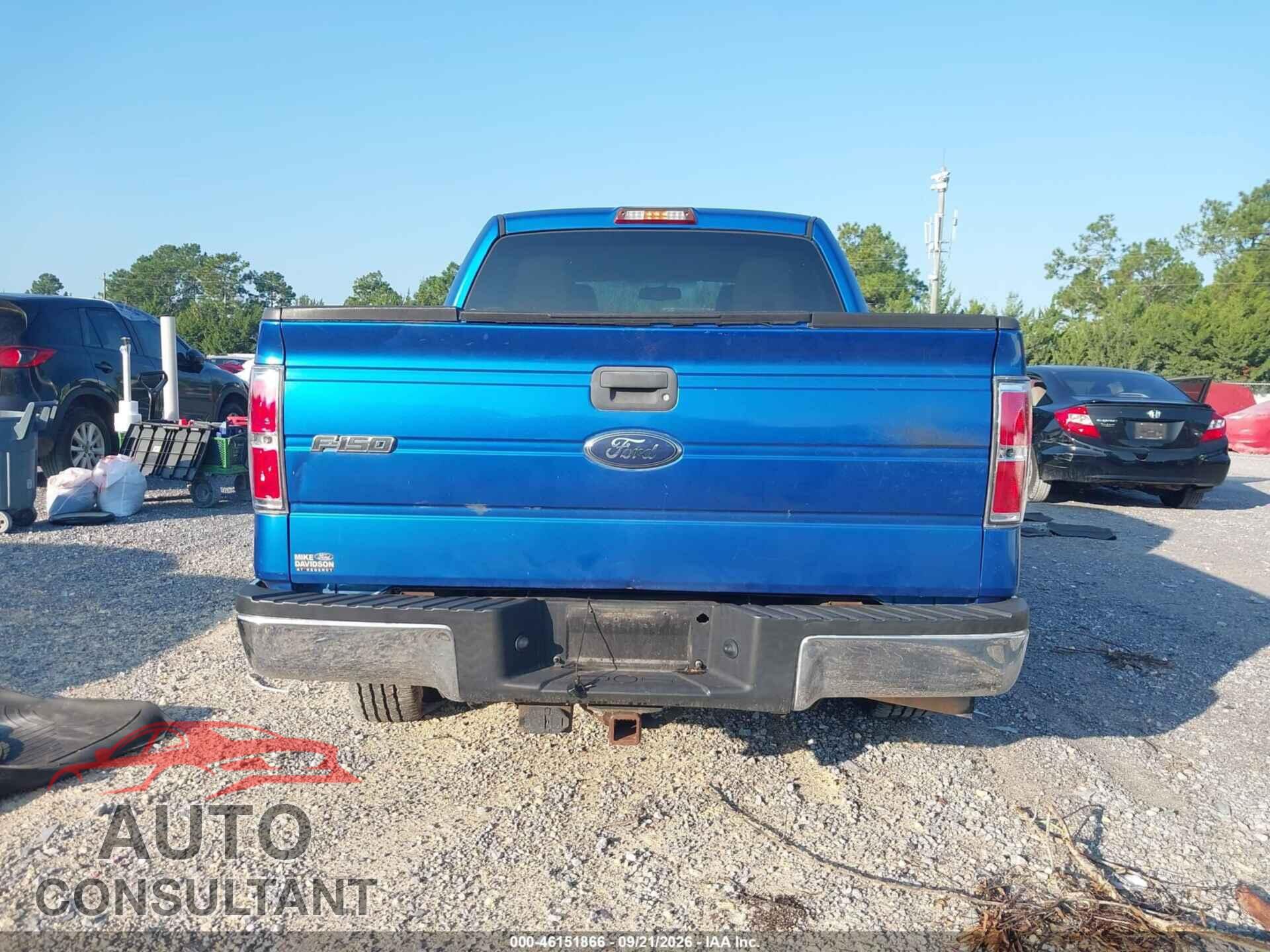 FORD F-150 2010 - 1FTEW1C82AFA28005