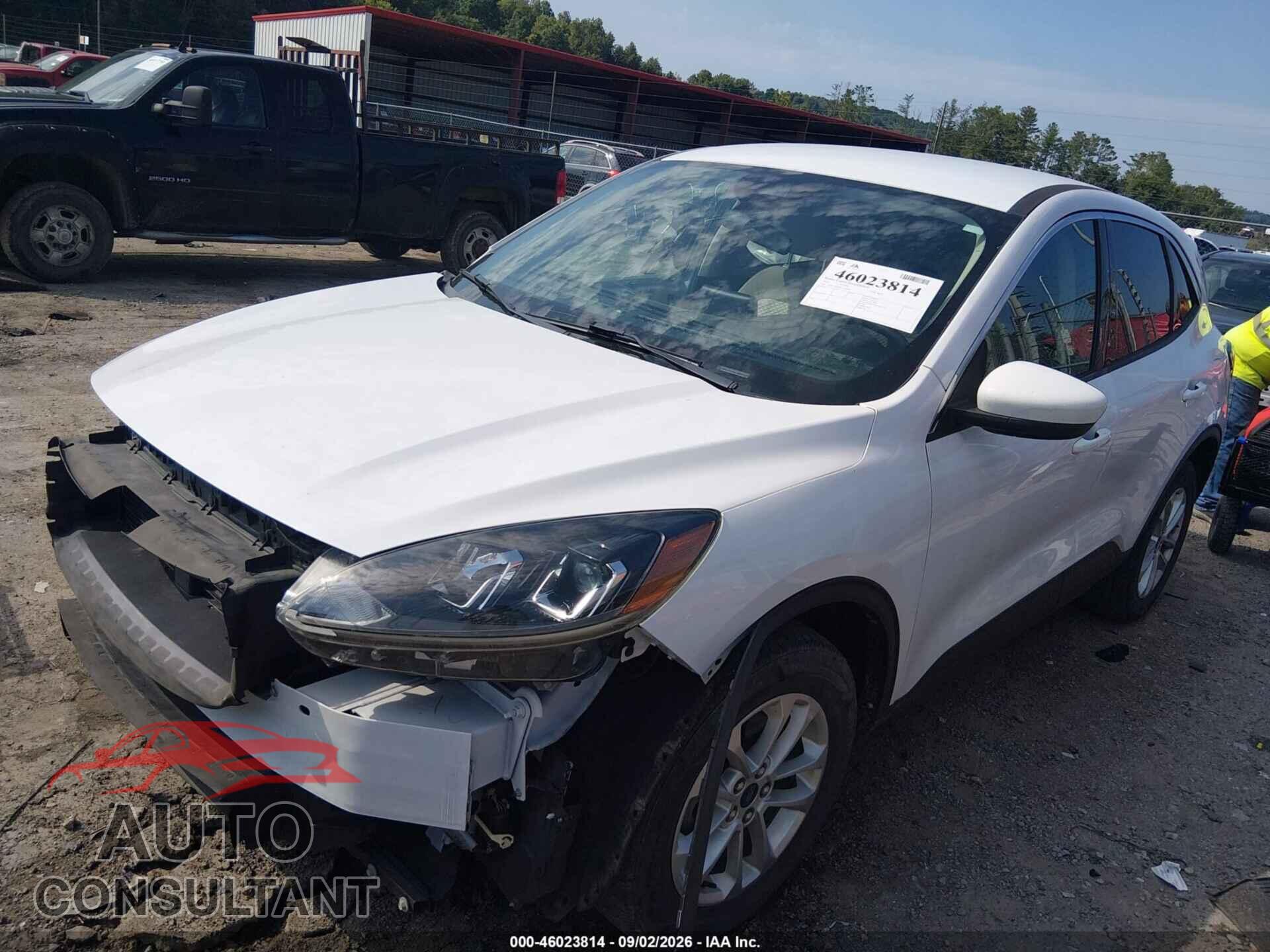 FORD ESCAPE 2020 - 1FMCU9G69LUA60996