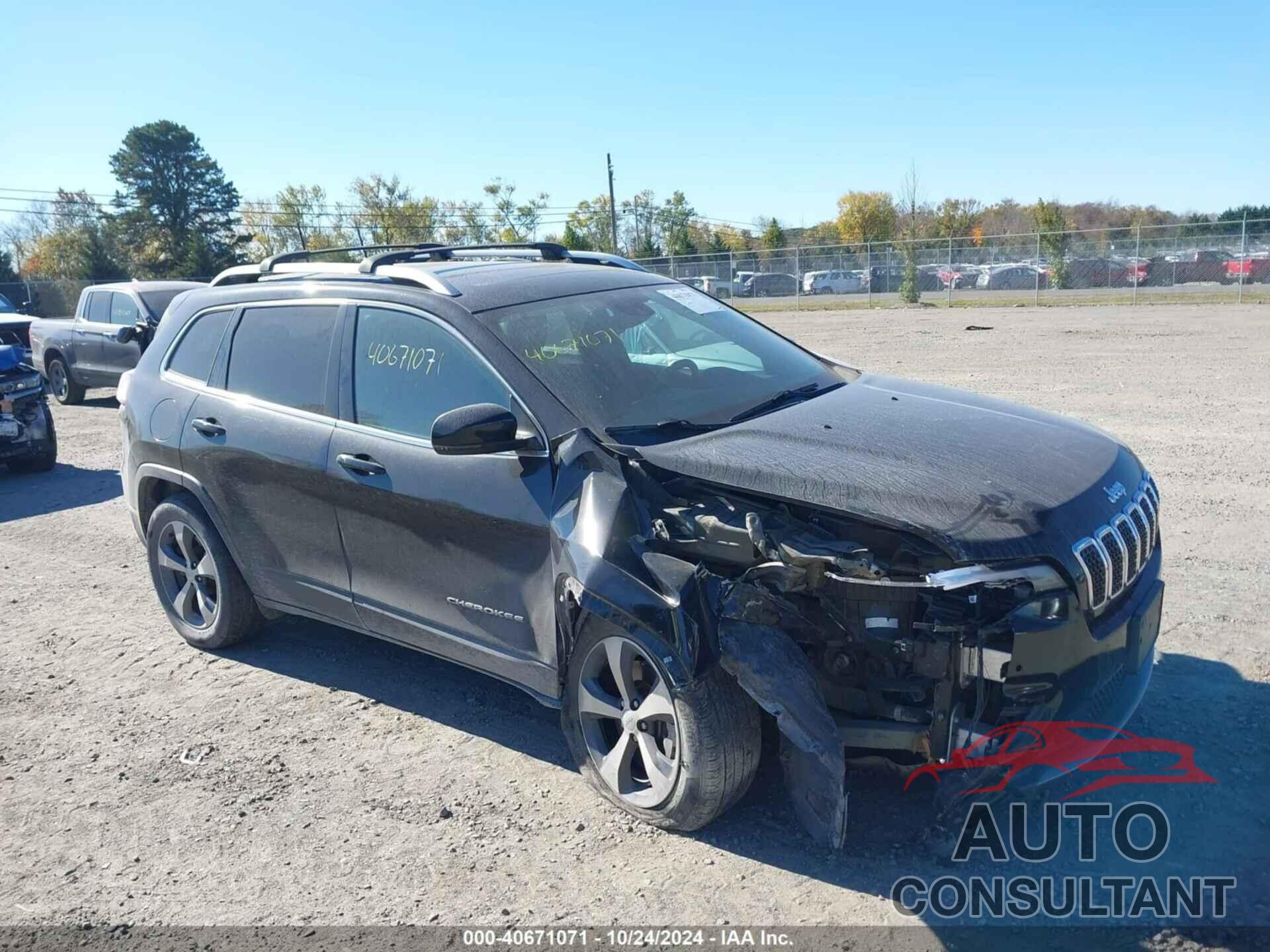 JEEP CHEROKEE 2019 - 1C4PJMDX2KD294667