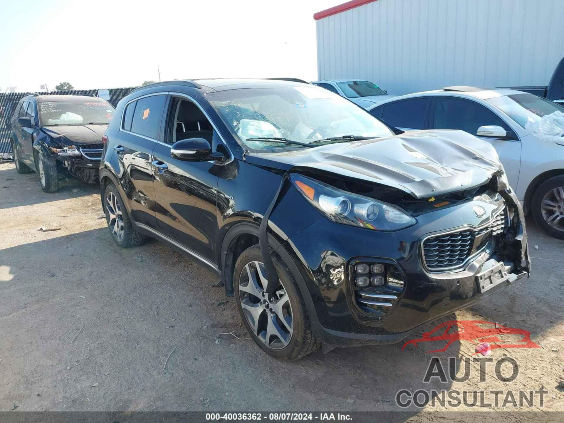 KIA SPORTAGE 2019 - KNDPRCA63K7618870