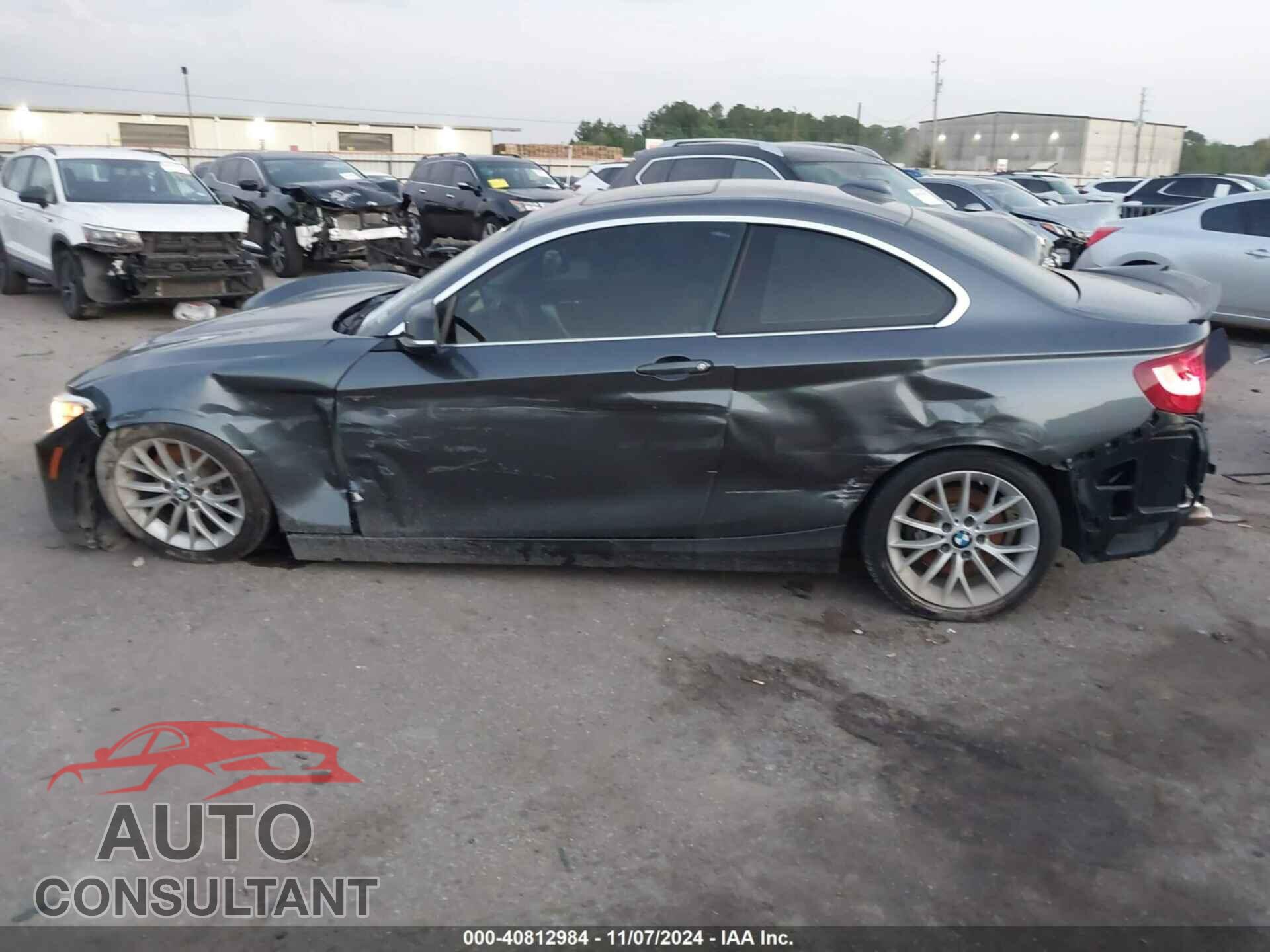 BMW 228I 2014 - WBA1F5C56EVV98870