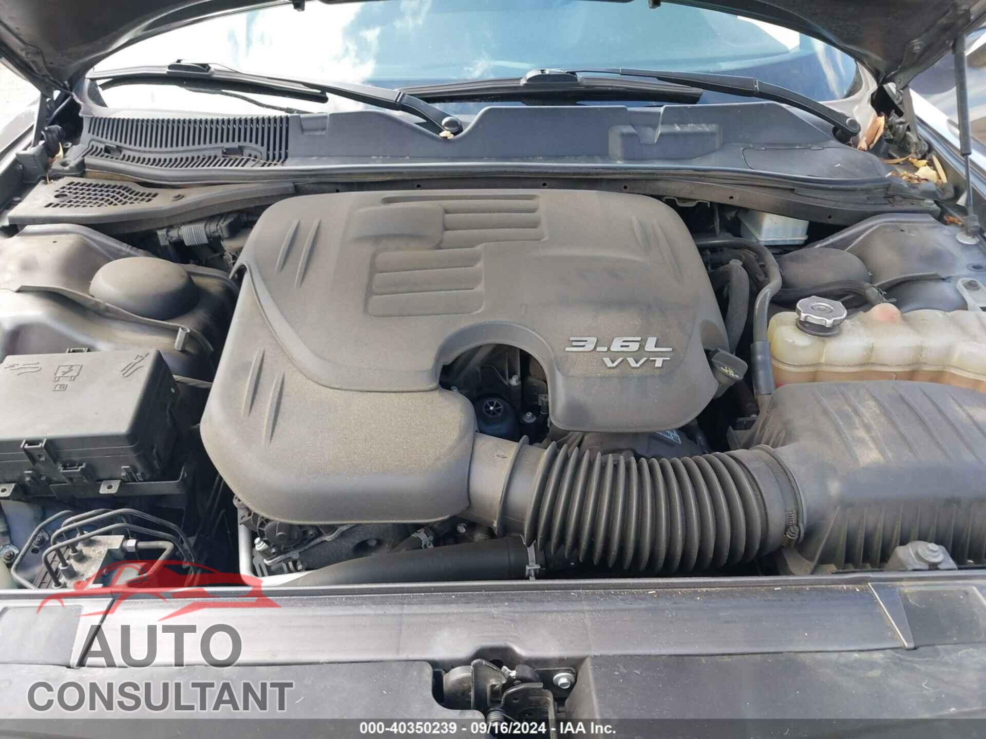 DODGE CHALLENGER 2019 - 2C3CDZAG2KH551454