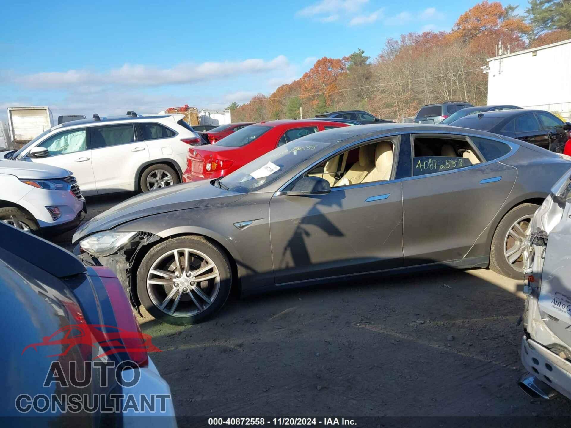 TESLA MODEL S 2015 - 5YJSA1S28FF095962