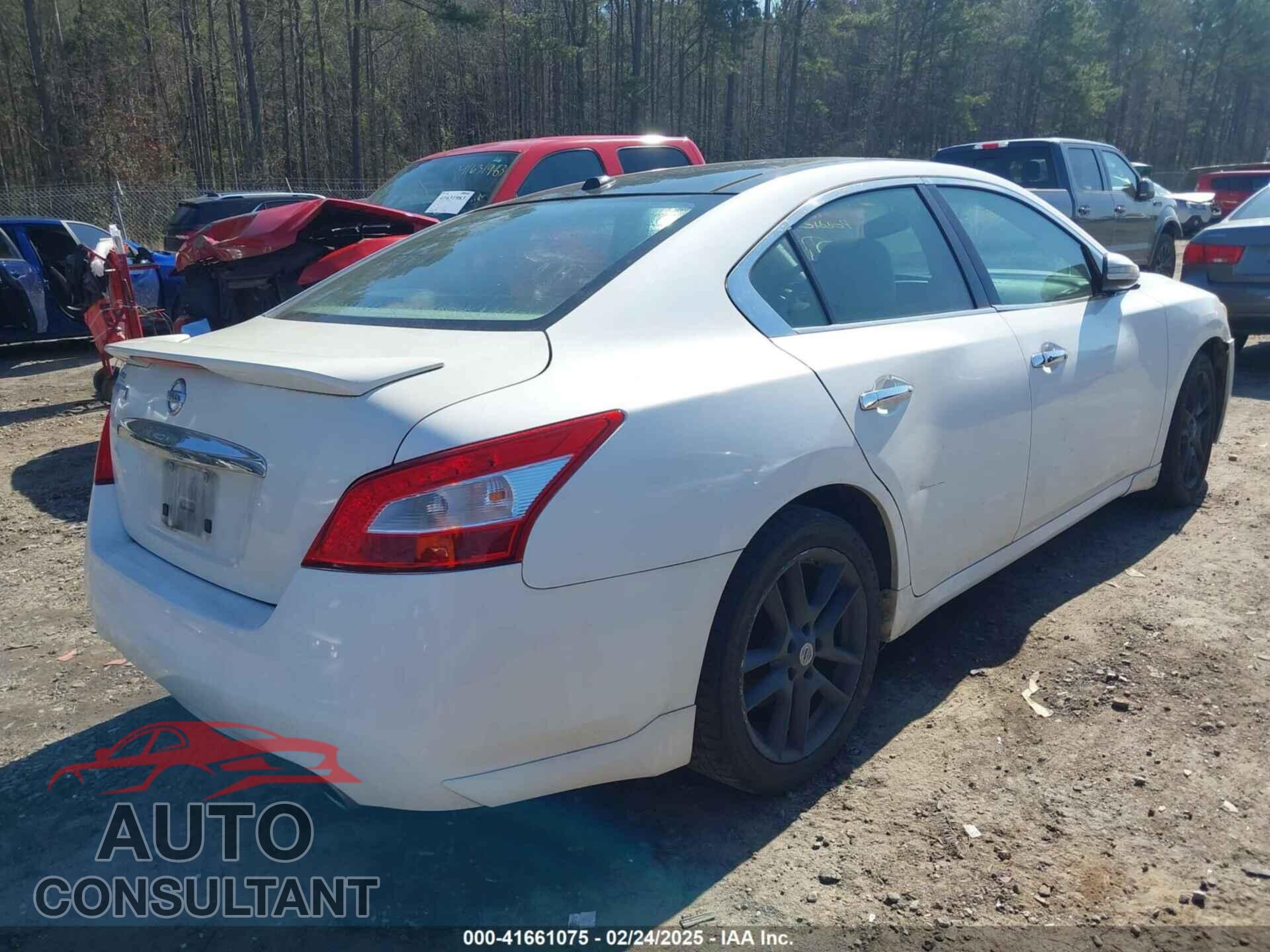 NISSAN MAXIMA 2011 - 1N4AA5AP7BC856462