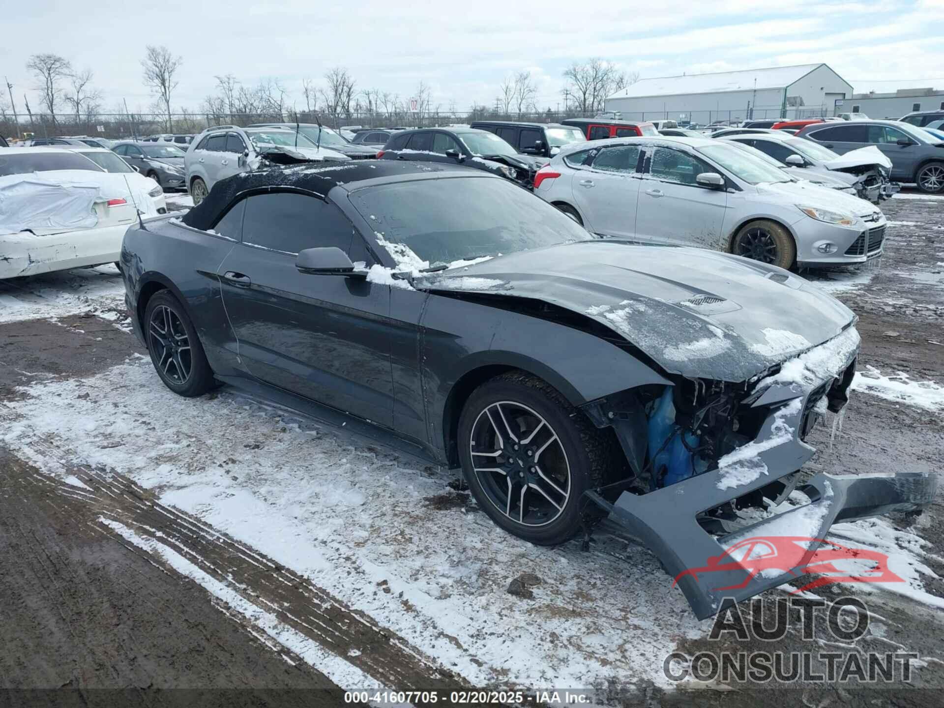 FORD MUSTANG 2019 - 1FATP8UH8K5138694