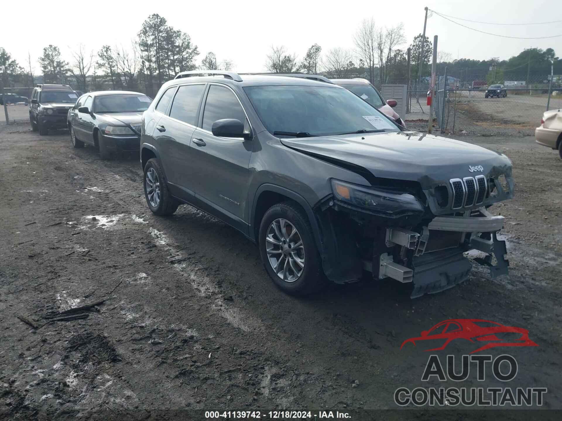 JEEP CHEROKEE 2019 - 1C4PJLLB5KD346504