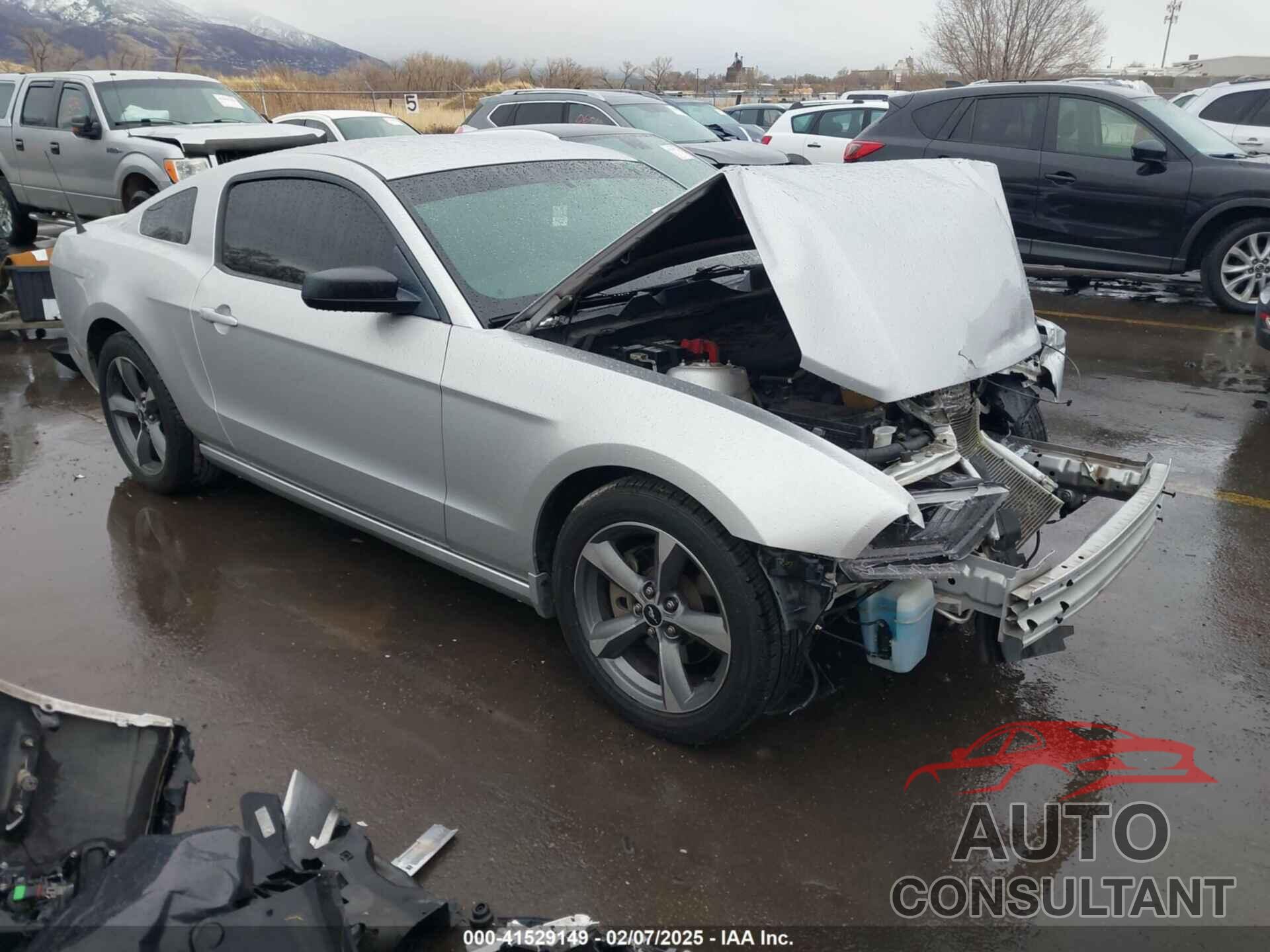 FORD MUSTANG 2013 - 1ZVBP8AM1D5209466