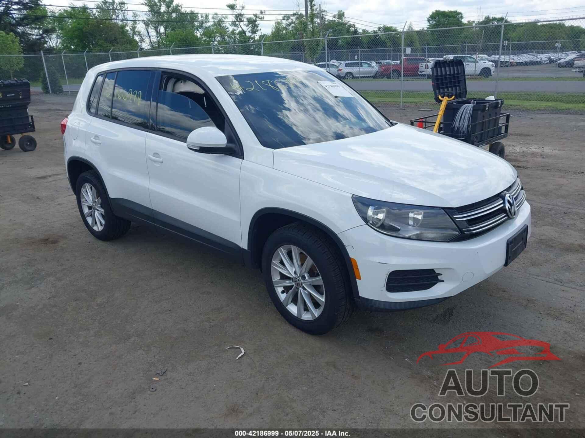 VOLKSWAGEN TIGUAN 2014 - WVGBV3AX0EW589381