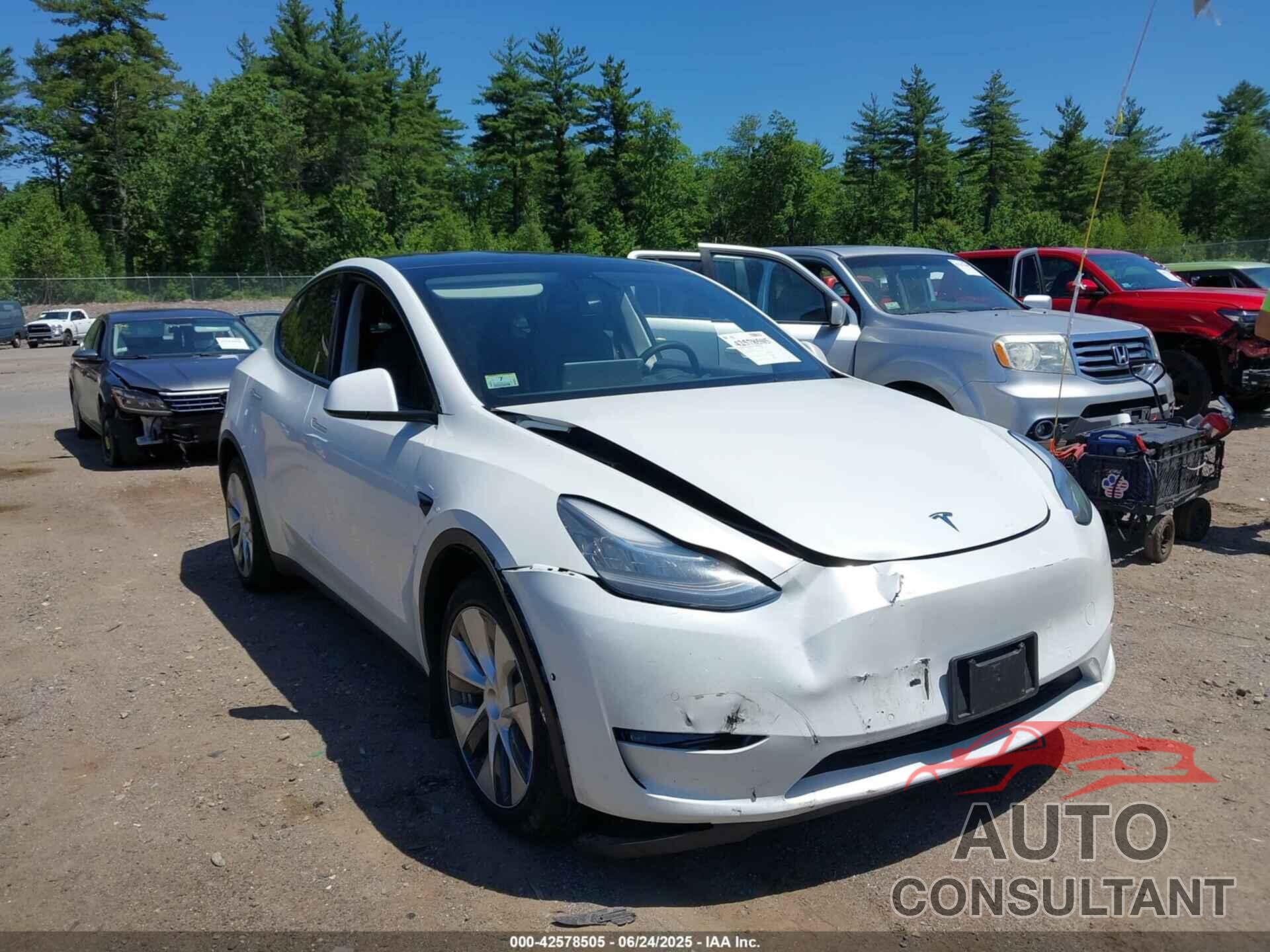 TESLA MODEL Y 2021 - 5YJYGDEE9MF184386