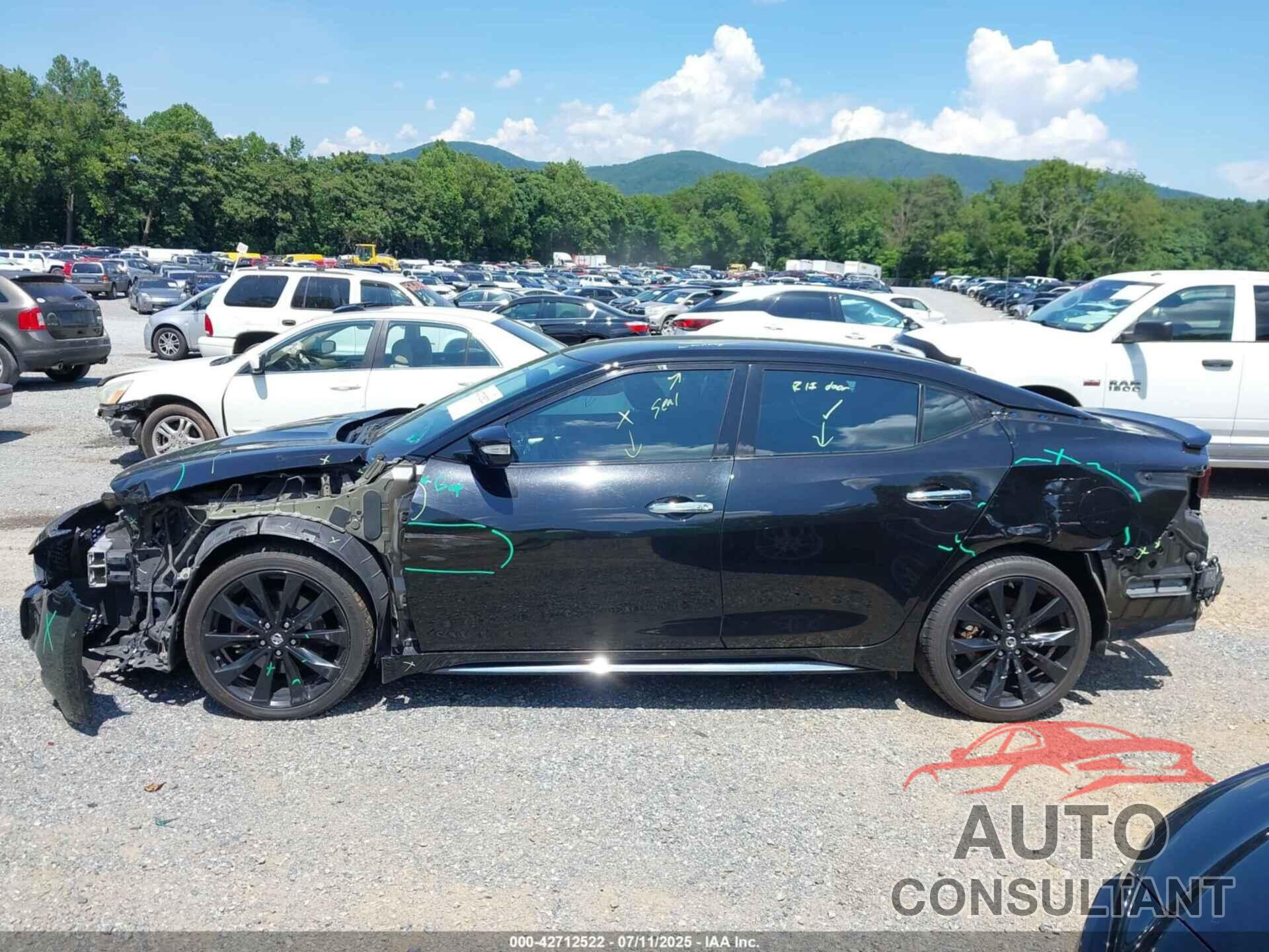 NISSAN MAXIMA 2017 - 1N4AA6AP3HC450693