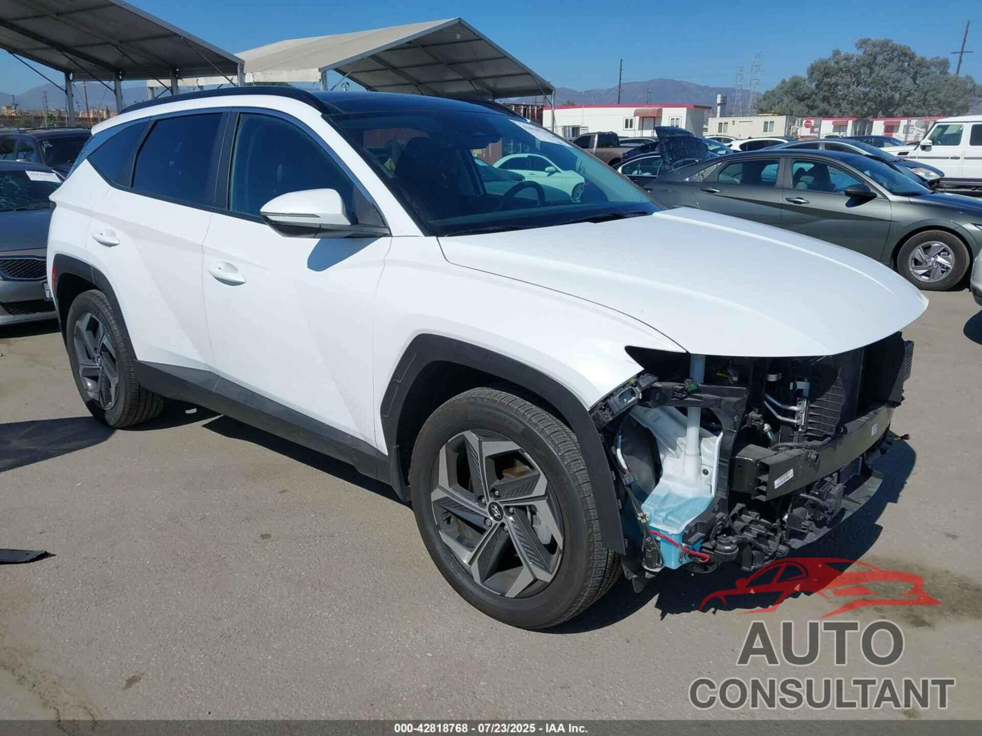 HYUNDAI TUCSON HYBRID 2024 - KM8JCCD11RU199478