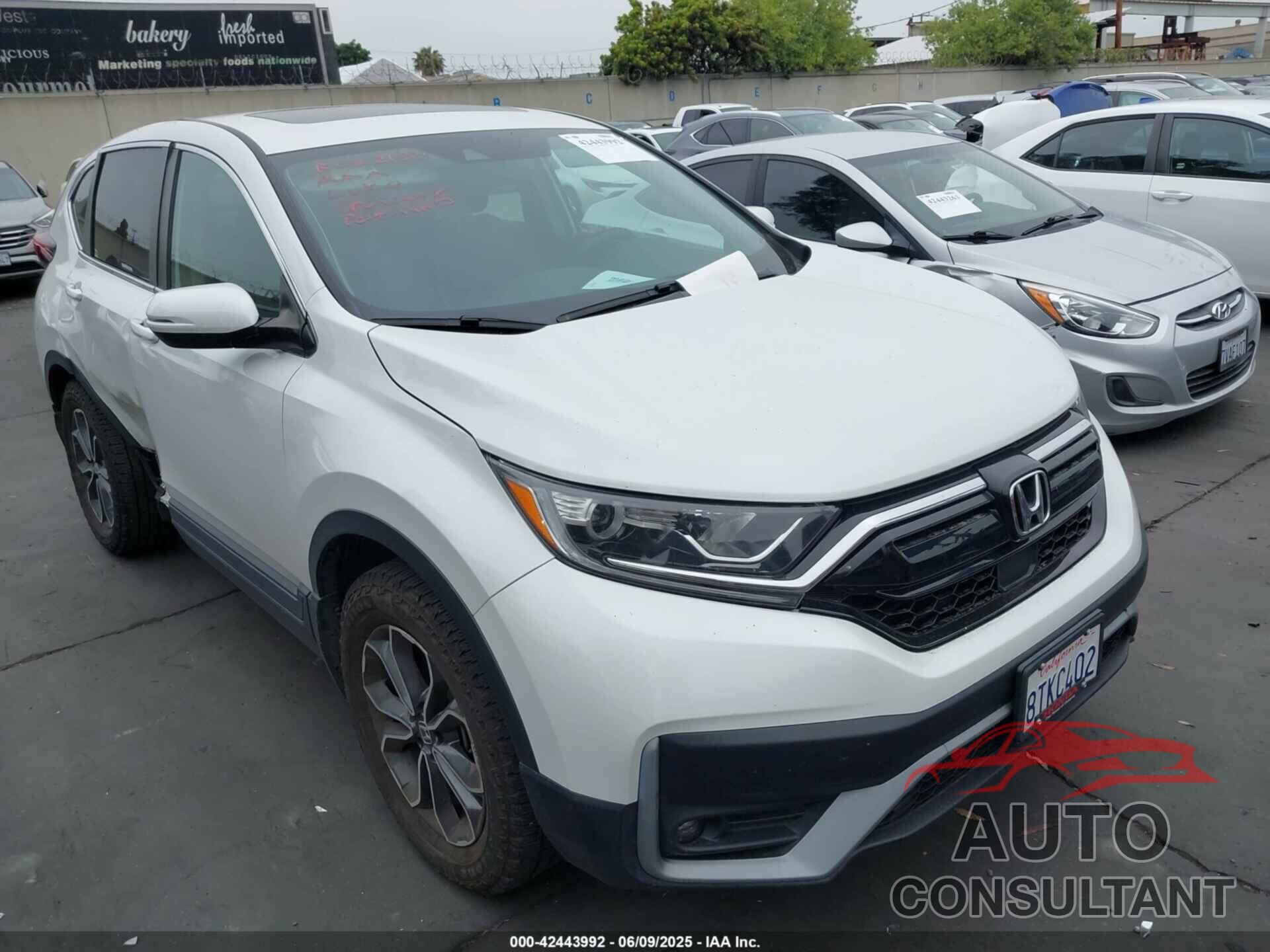 HONDA CR-V 2020 - 2HKRW2H80LH692392