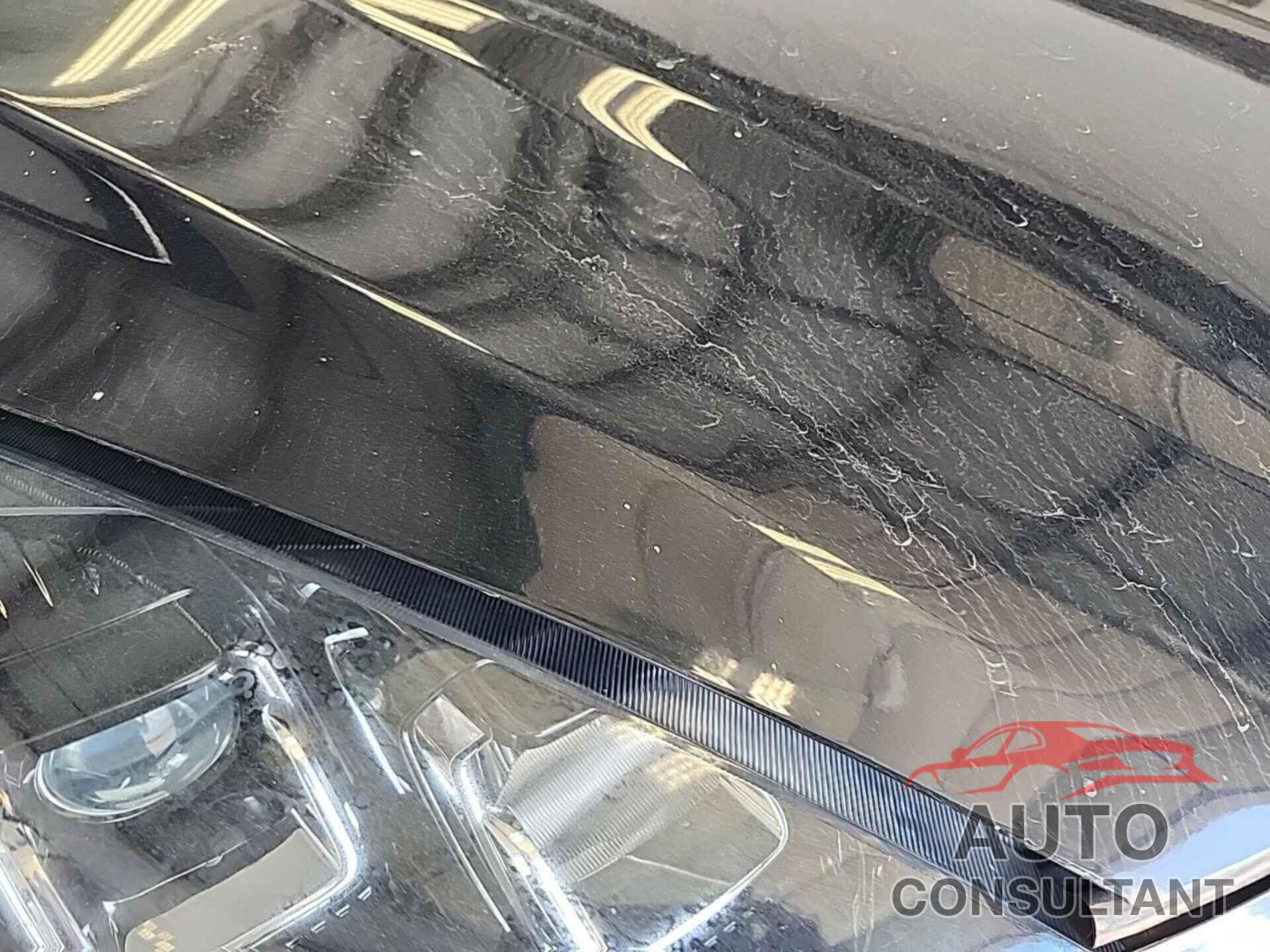 FORD ESCAPE 2021 - 1FMCU9G61MUA42929