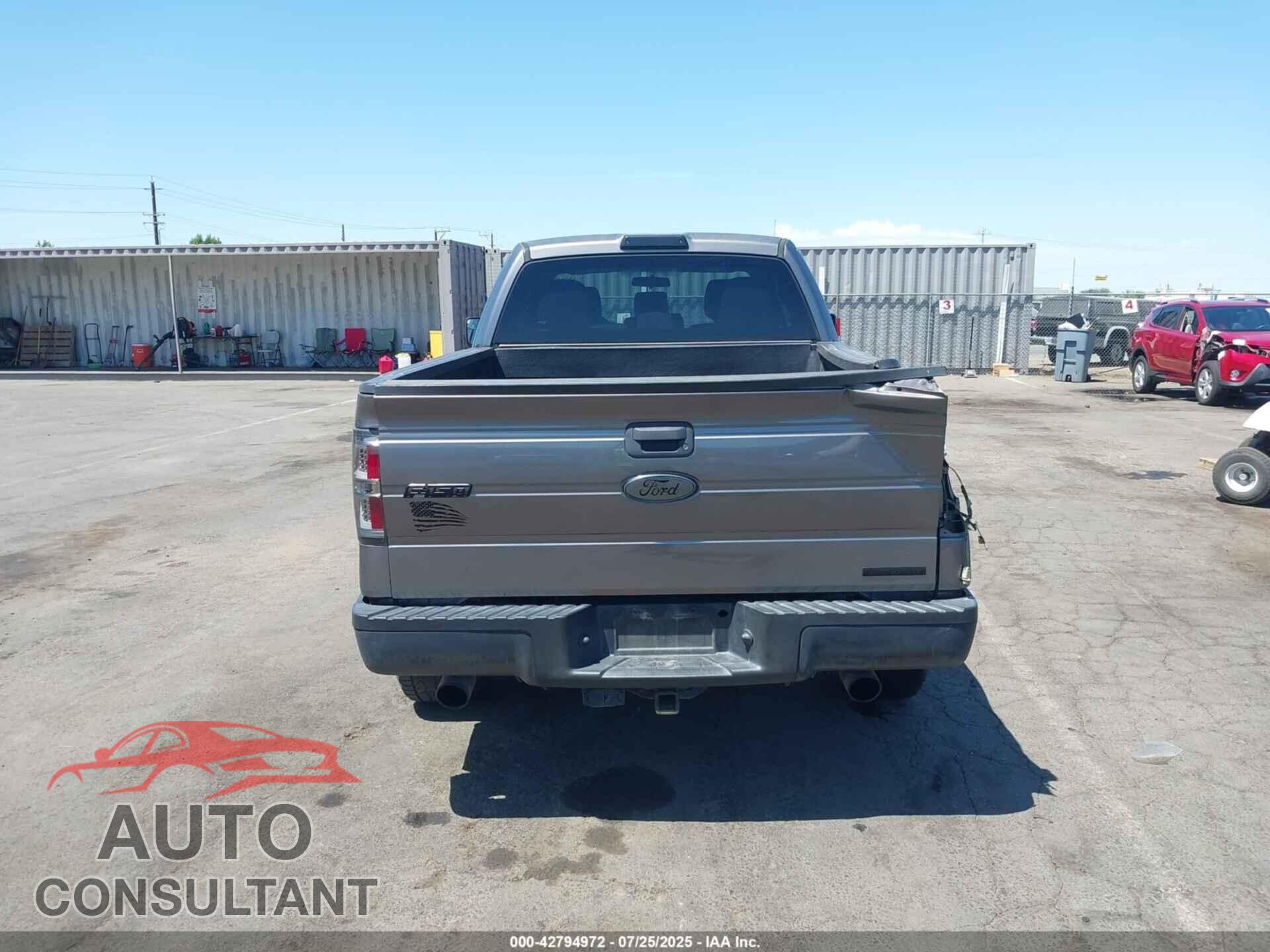 FORD F-150 2013 - 1FTFX1EF3DFD20859