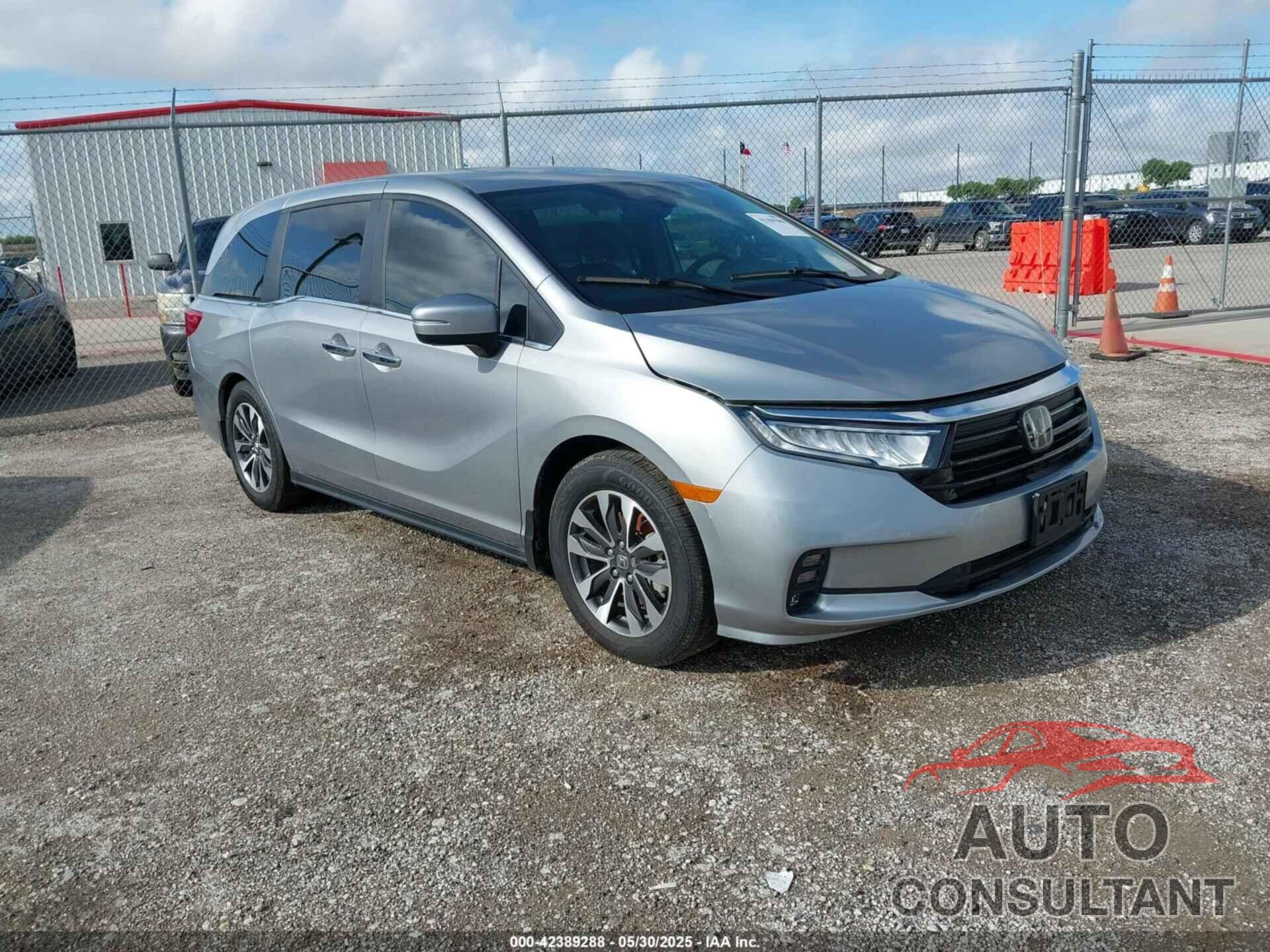 HONDA ODYSSEY 2024 - 5FNRL6H64RB012970