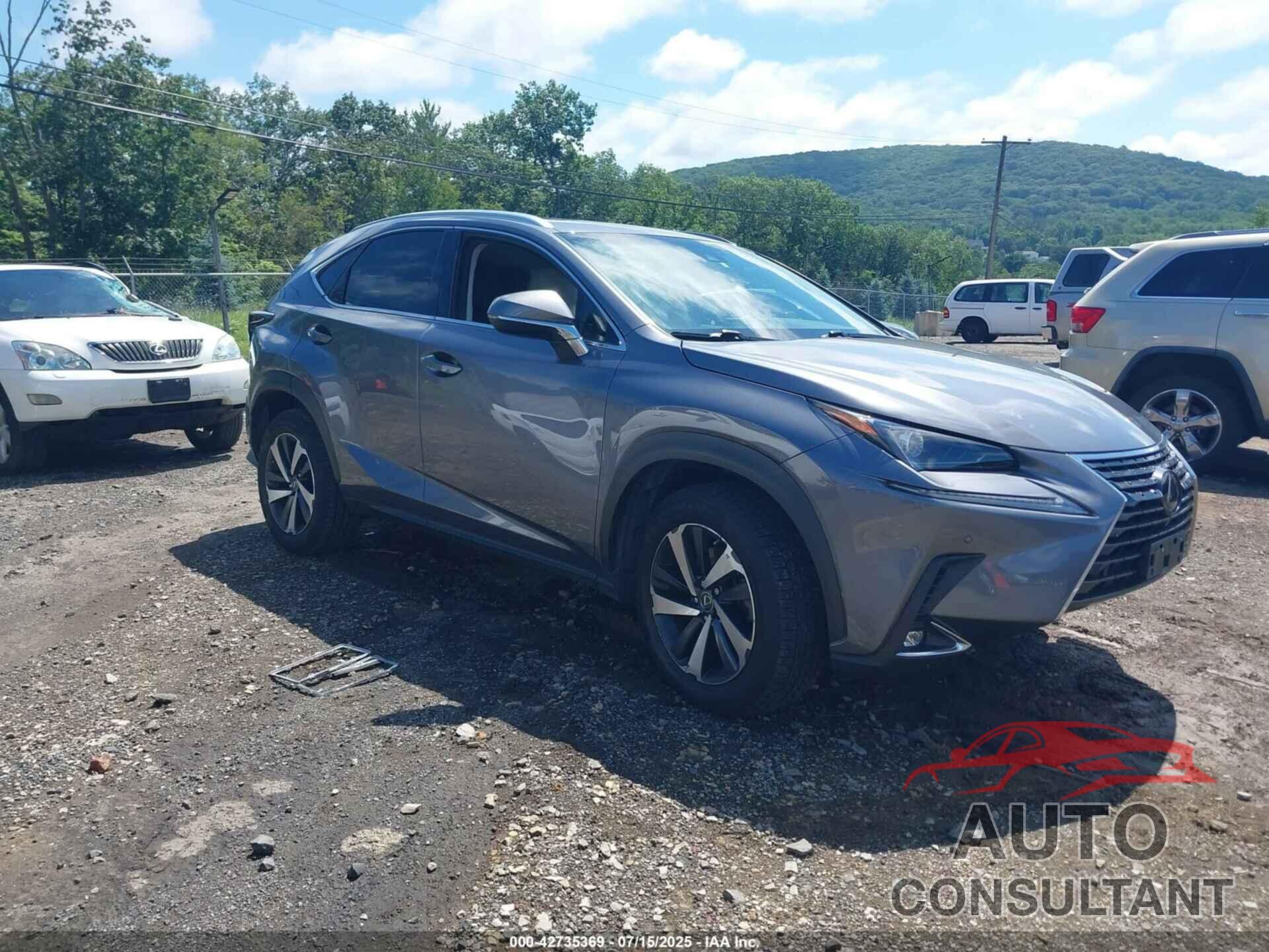 LEXUS NX 300 2019 - JTJBARBZXK2217484