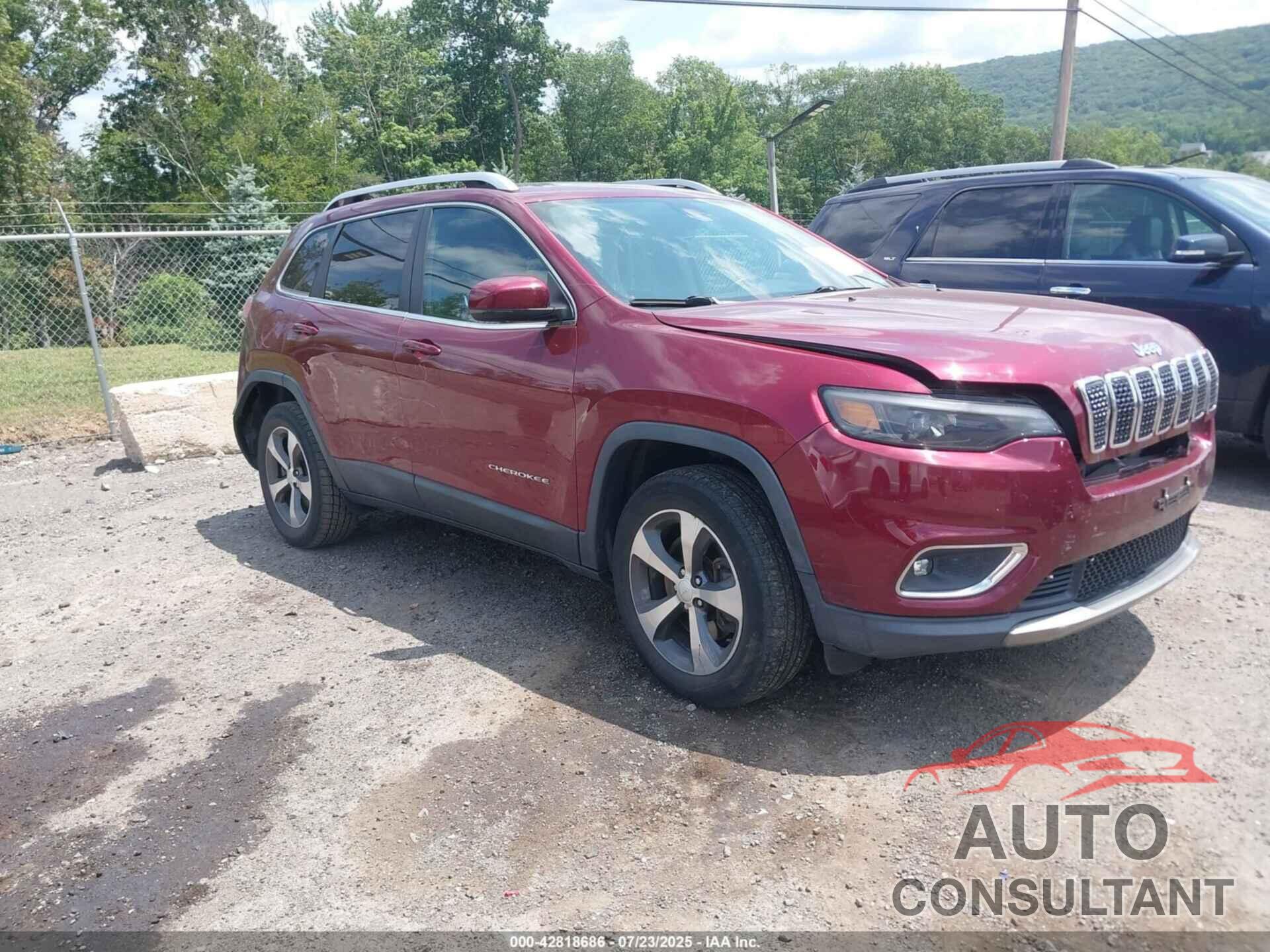 JEEP CHEROKEE 2019 - 1C4PJMDX0KD237111