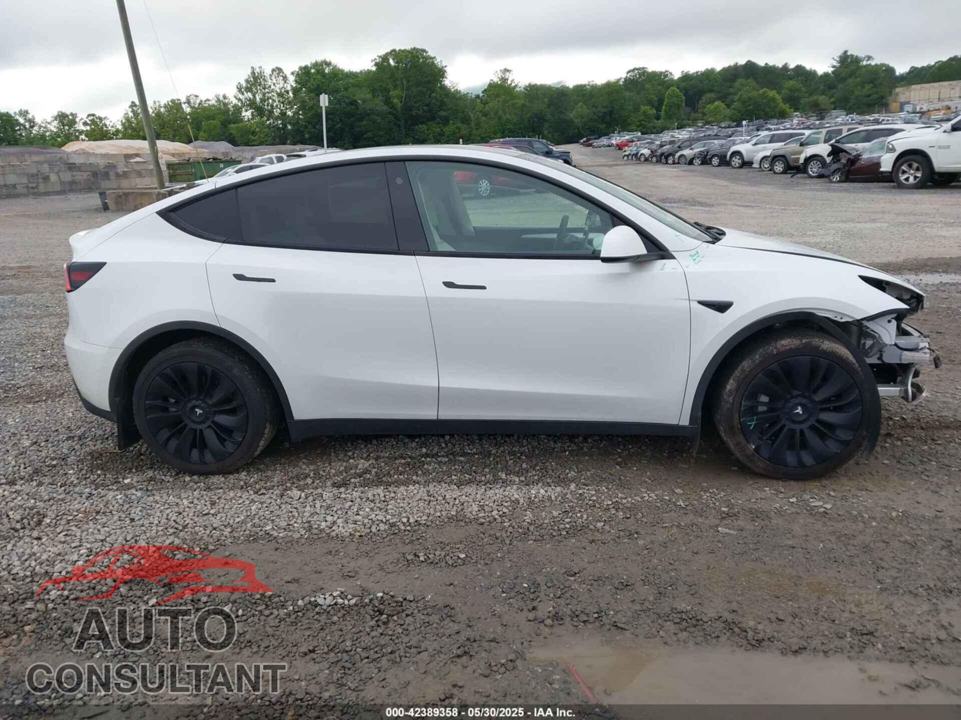 TESLA MODEL Y 2023 - 7SAYGDEE2PF631955