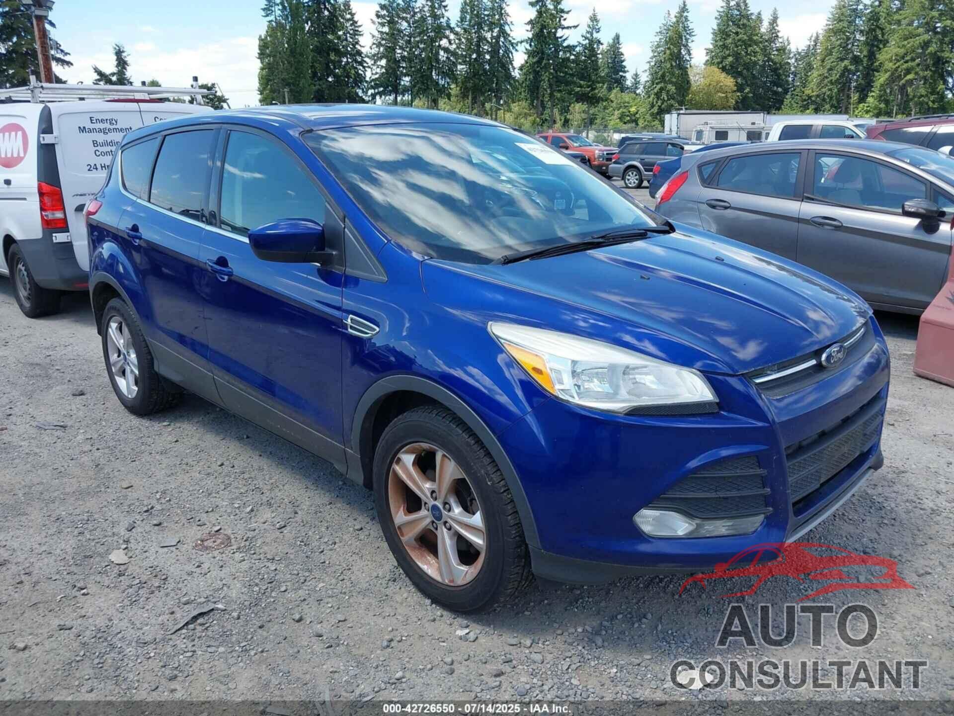 FORD ESCAPE 2014 - 1FMCU0GX2EUD03281