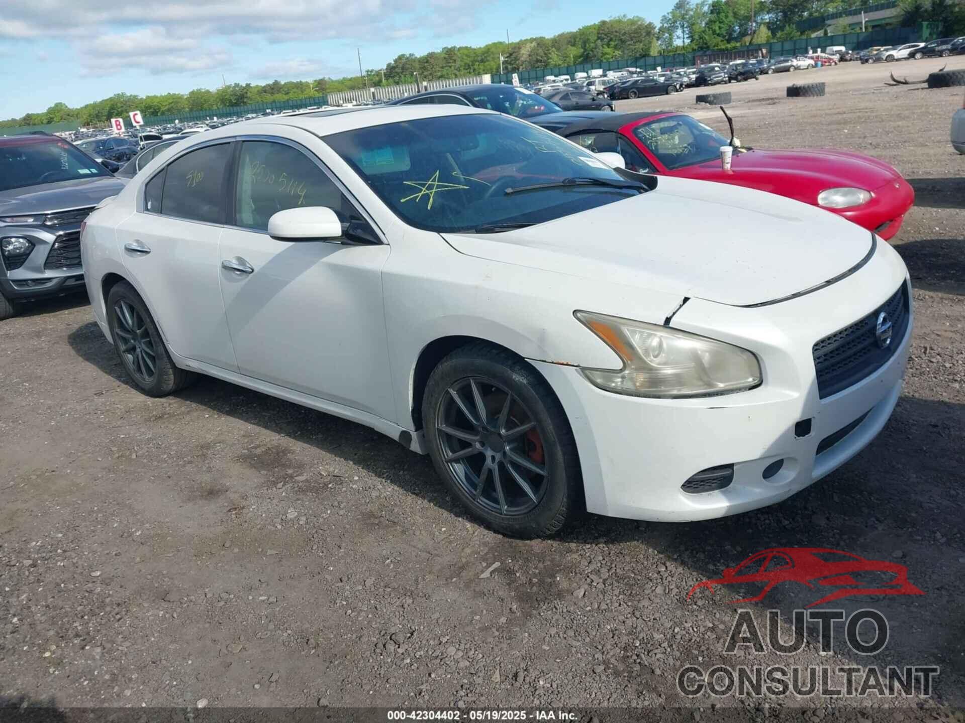 NISSAN MAXIMA 2011 - 1N4AA5AP6BC838695