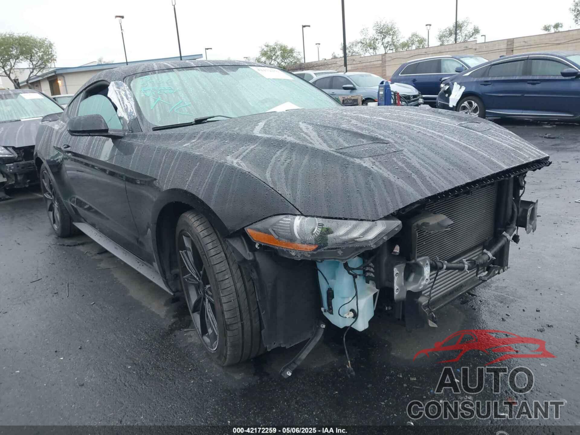FORD MUSTANG 2019 - 1FA6P8TH2K5143582