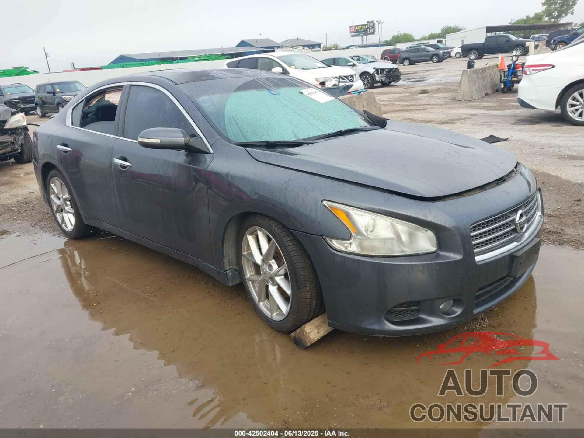NISSAN MAXIMA 2010 - 1N4AA5AP9AC862763