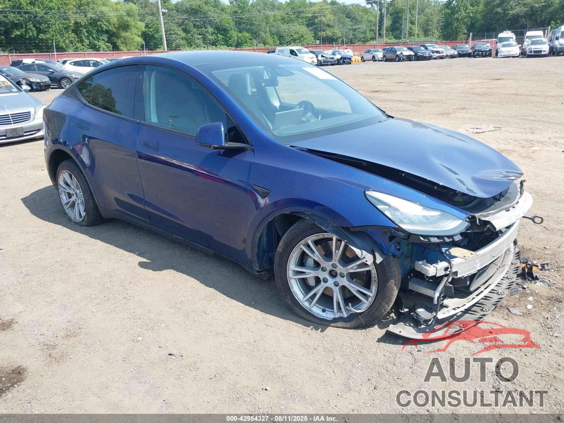 TESLA MODEL Y 2021 - 5YJYGDEE2MF114261