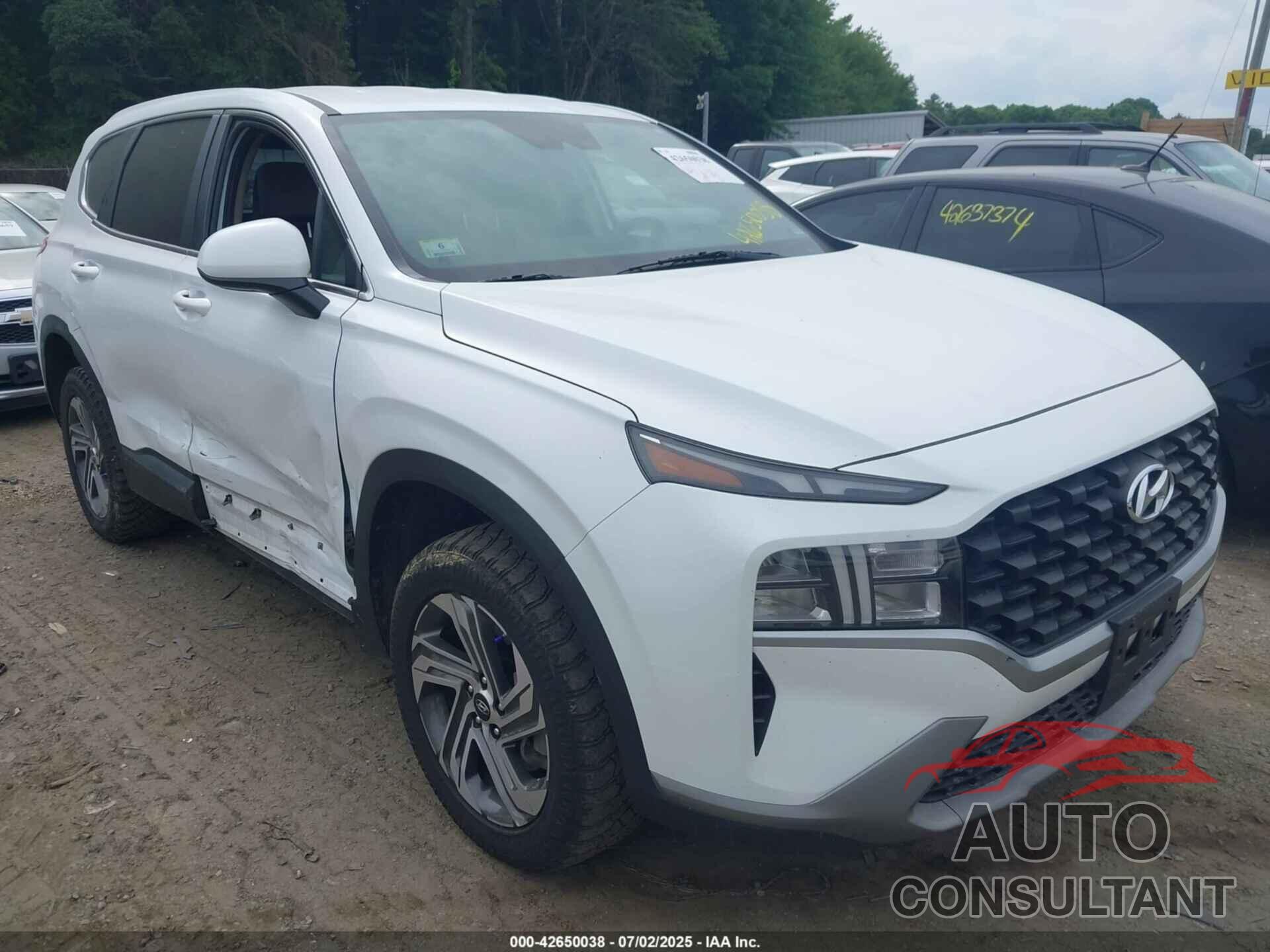 HYUNDAI SANTA FE 2023 - 5NMS1DAJXPH487352