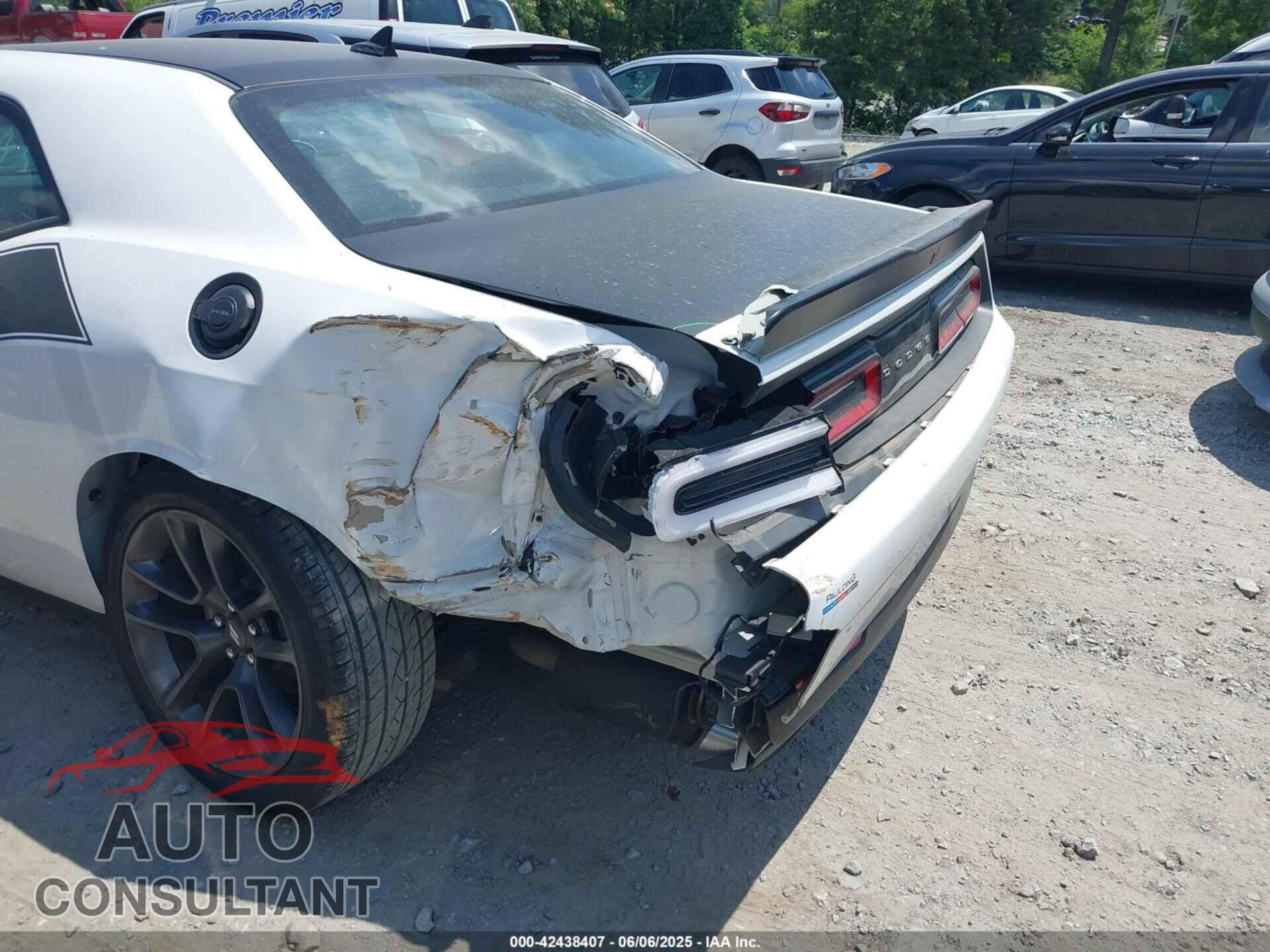 DODGE CHALLENGER 2023 - 2C3CDZBTXPH669206