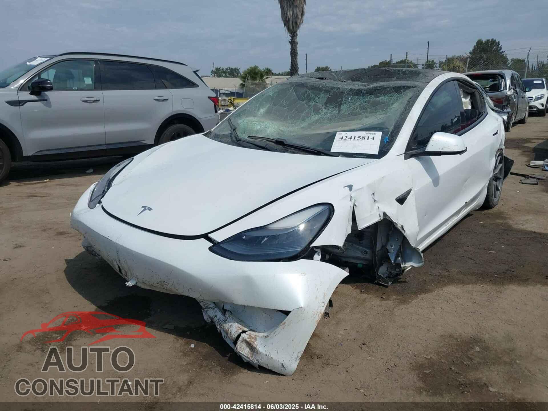 TESLA MODEL 3 2021 - 5YJ3E1EA3MF921206