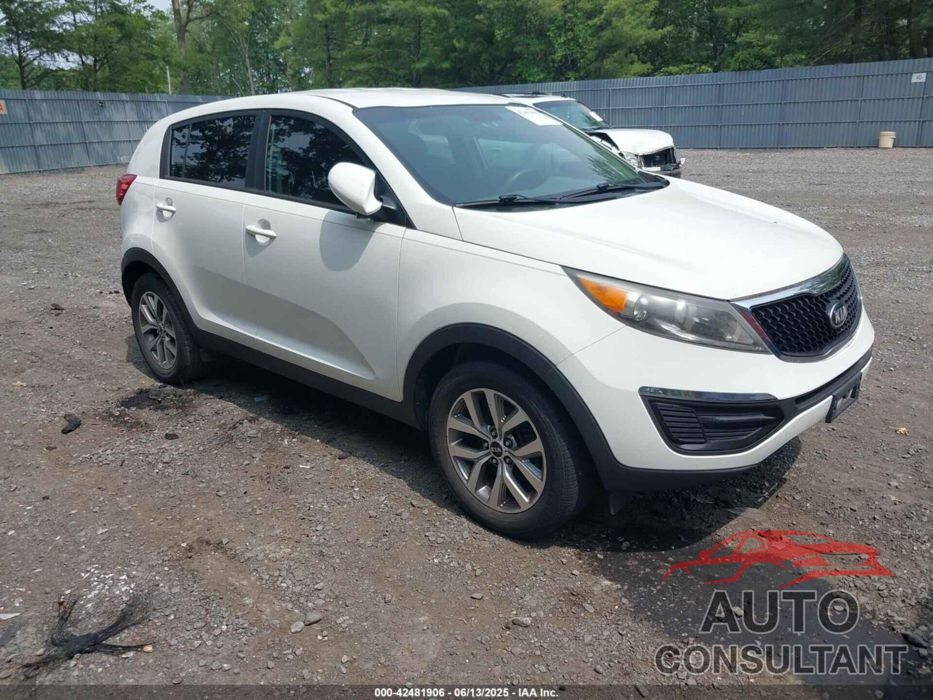 KIA SPORTAGE 2016 - KNDPB3AC7G7804879