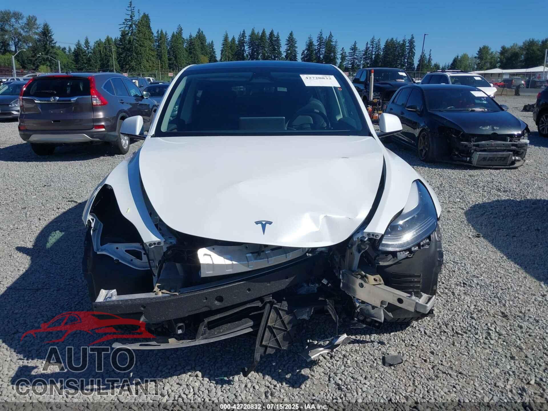 TESLA MODEL Y 2024 - 7SAYGDEEXRF164237