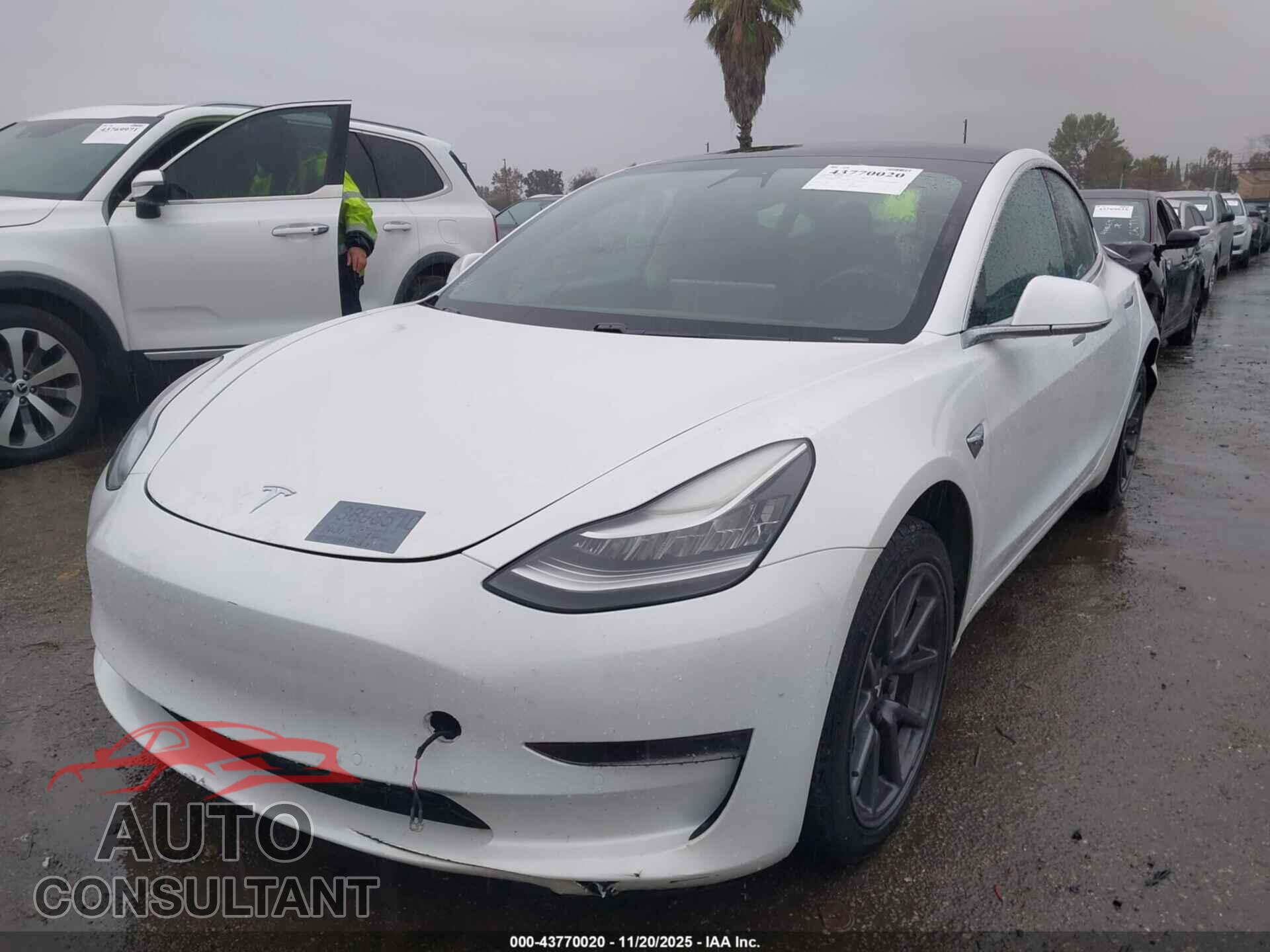 TESLA MODEL 3 2020 - 5YJ3E1EA5LF659834