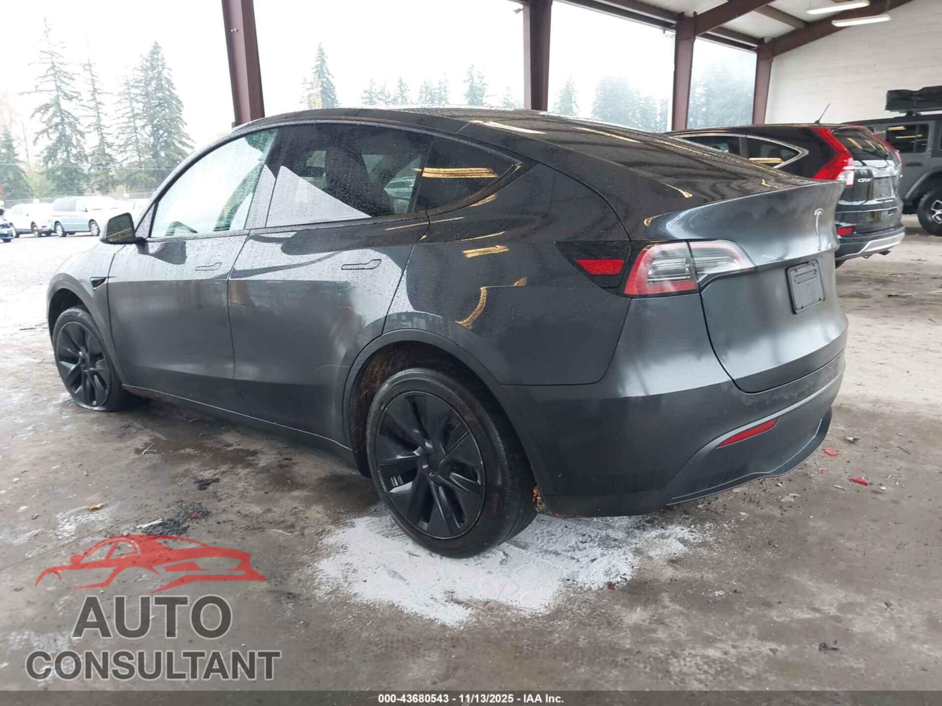 TESLA MODEL Y 2024 - 7SAYGDED8RF211661