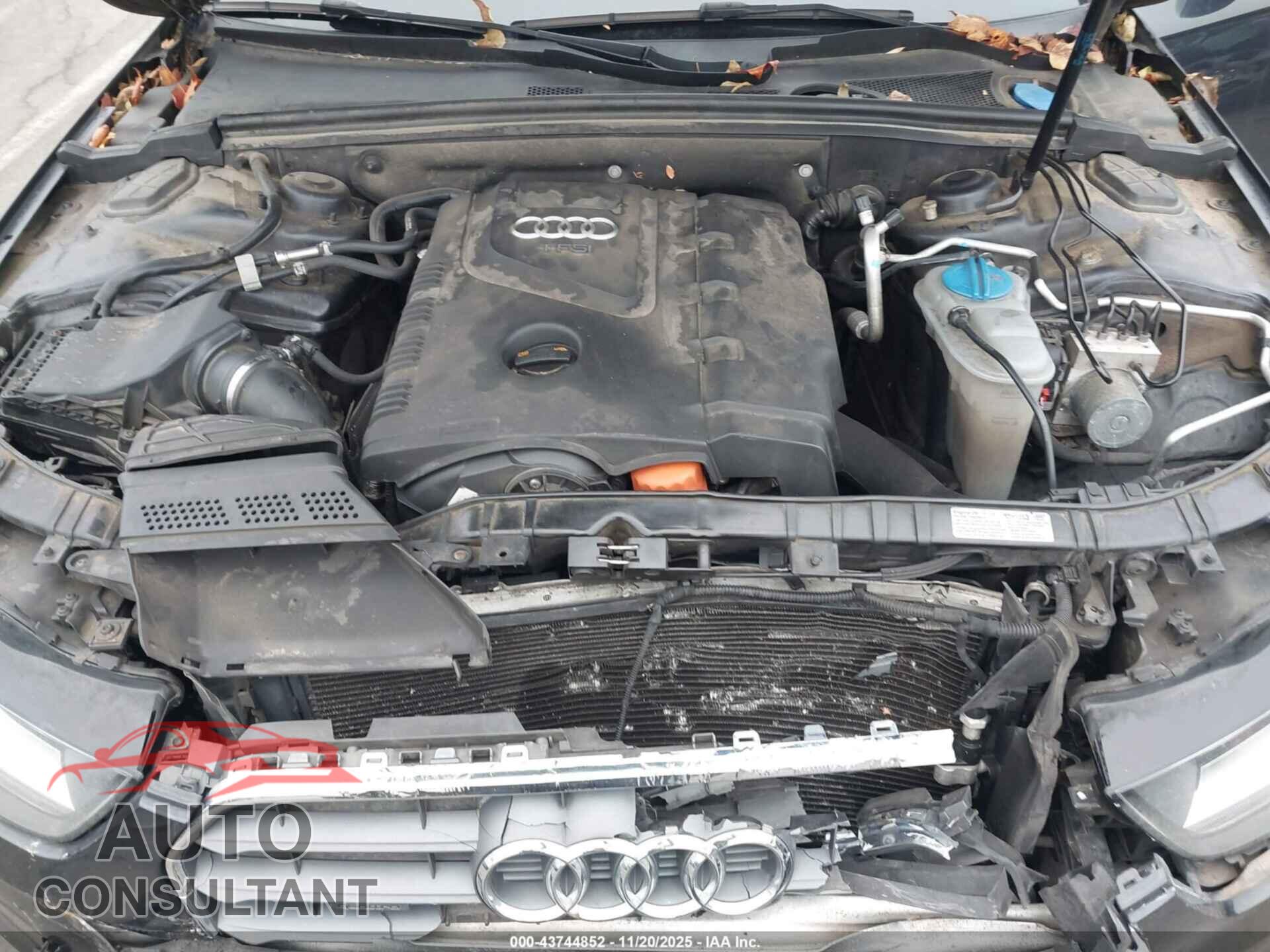 AUDI A4 2013 - WAUBFAFL1DN045596