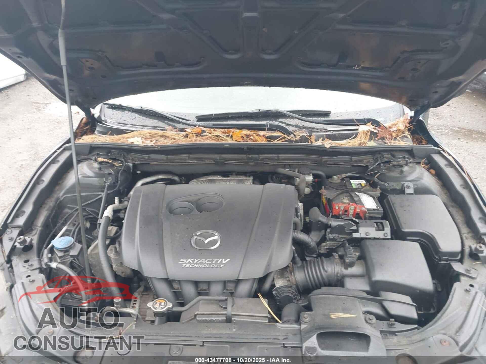 MAZDA MAZDA3 2014 - JM1BM1L72E1107287