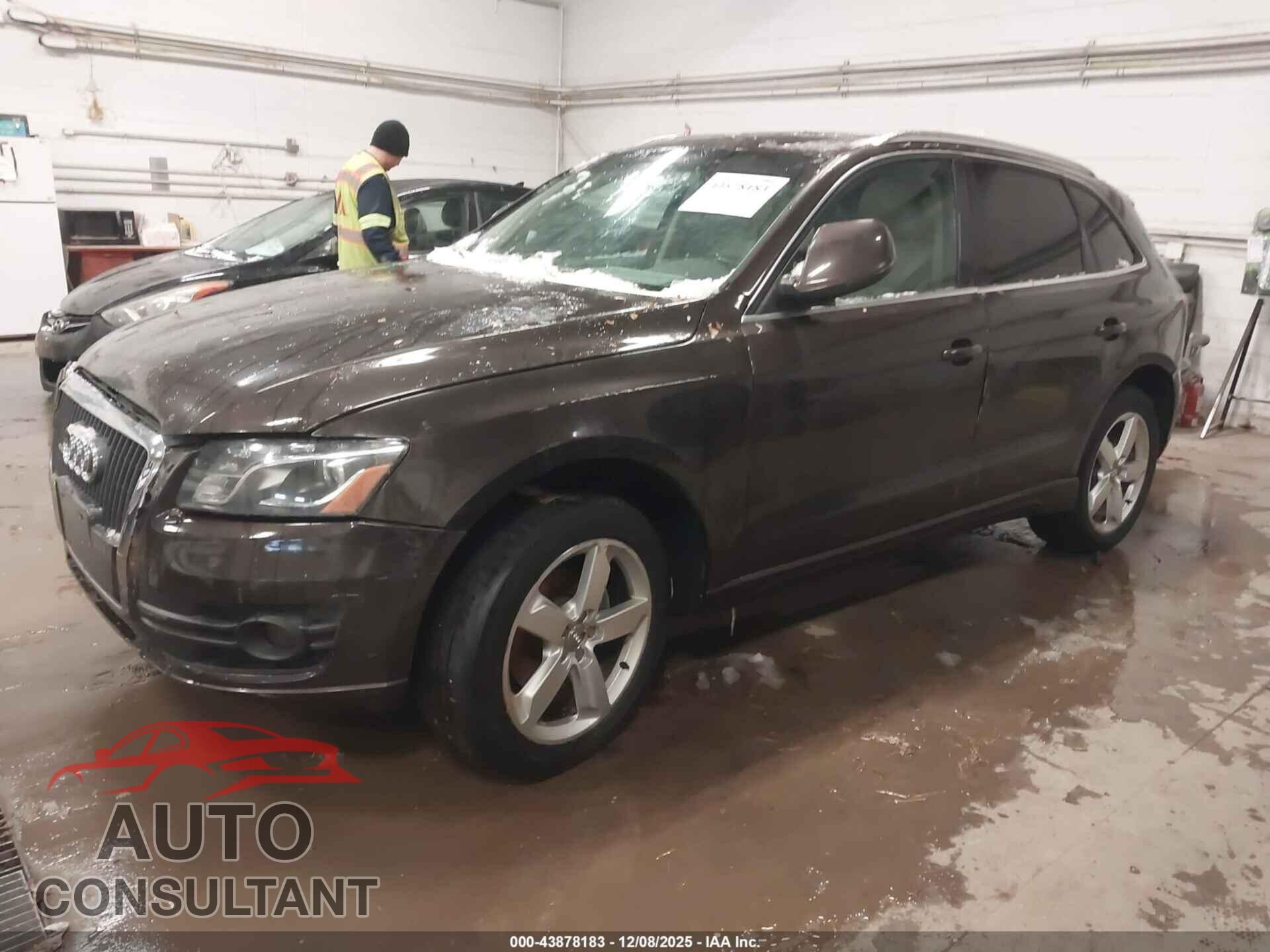 AUDI Q5 2011 - WA1LFAFP5BA059686