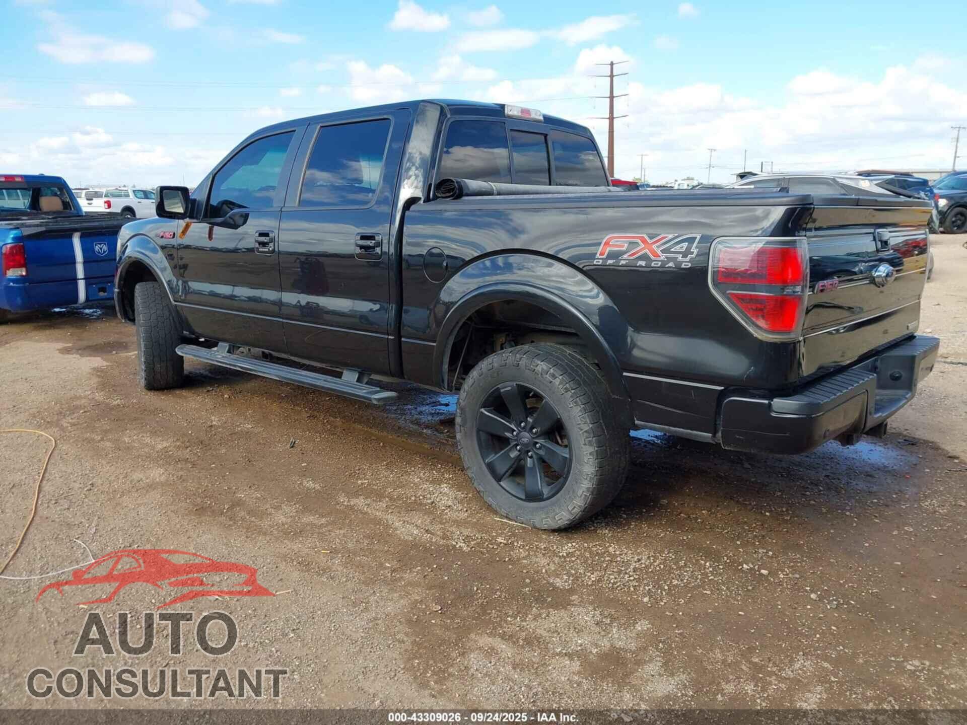 FORD F-150 2013 - 1FTFW1ET9DFD03072