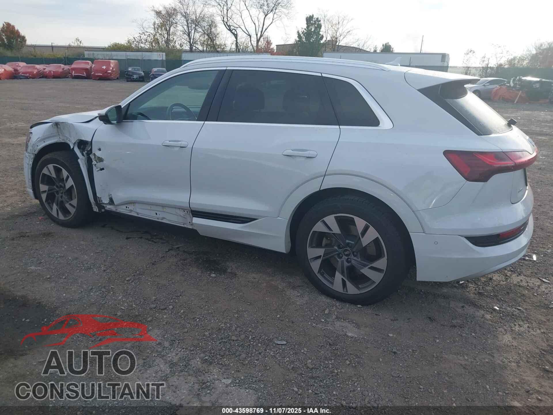 AUDI E-TRON 2021 - WA1LAAGE6MB022462