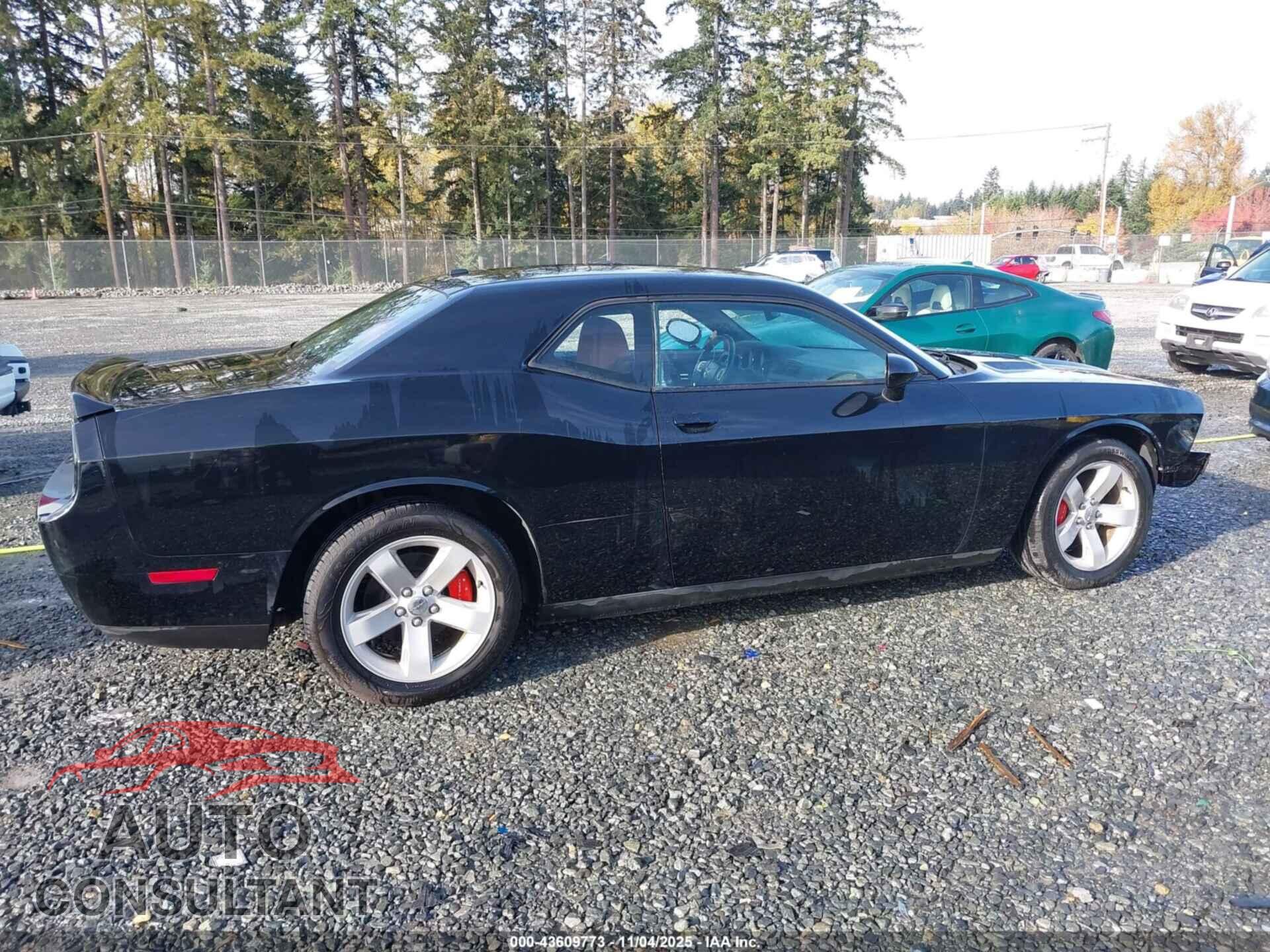DODGE CHALLENGER 2013 - 2C3CDYAG2DH515695